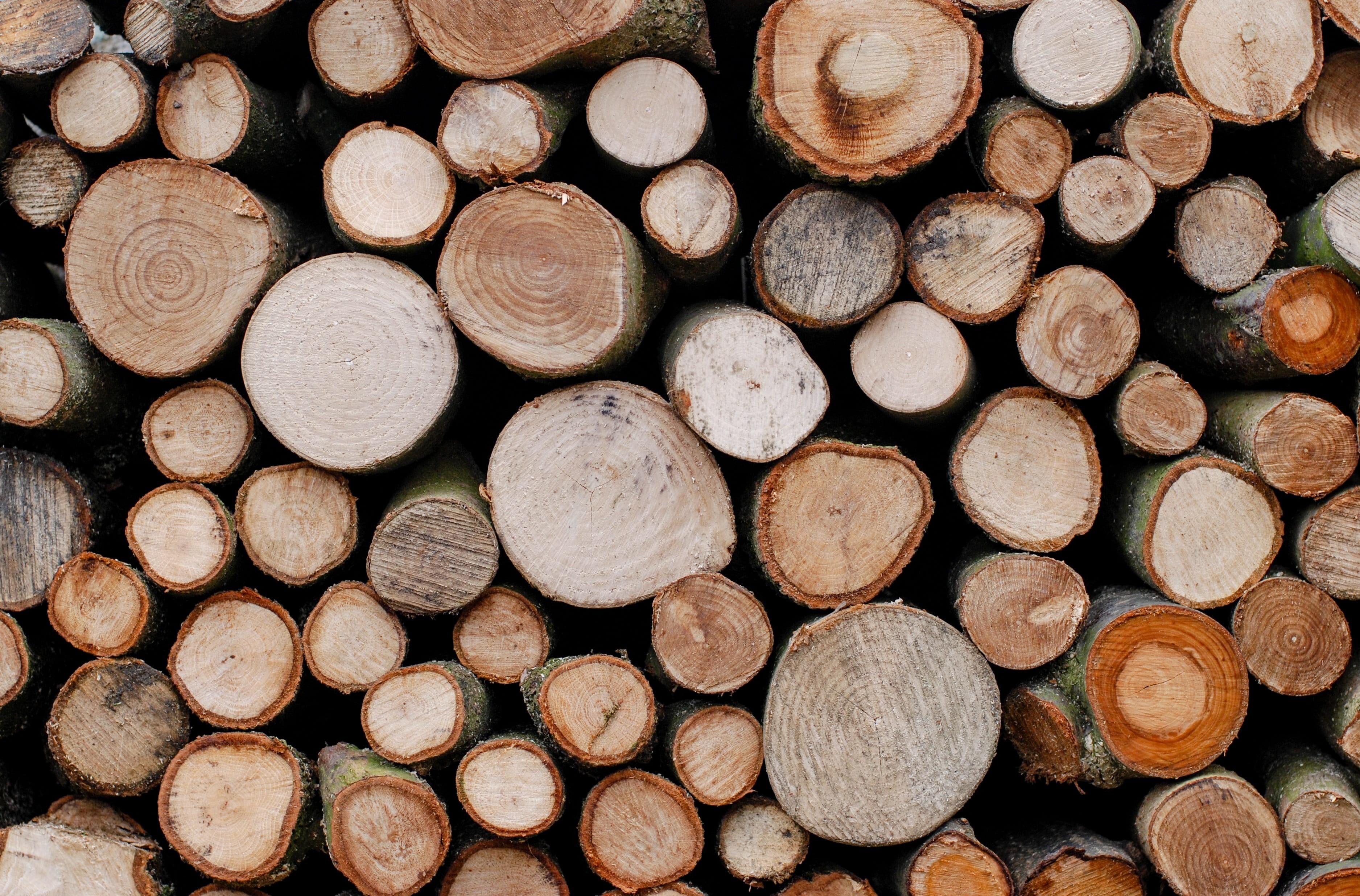 circle, wooden, structure, outdoors, large group of objects, lumber industry, stack, pattern, textured, wood - material, pine, firewood, material, trees, HD Wallpaper
