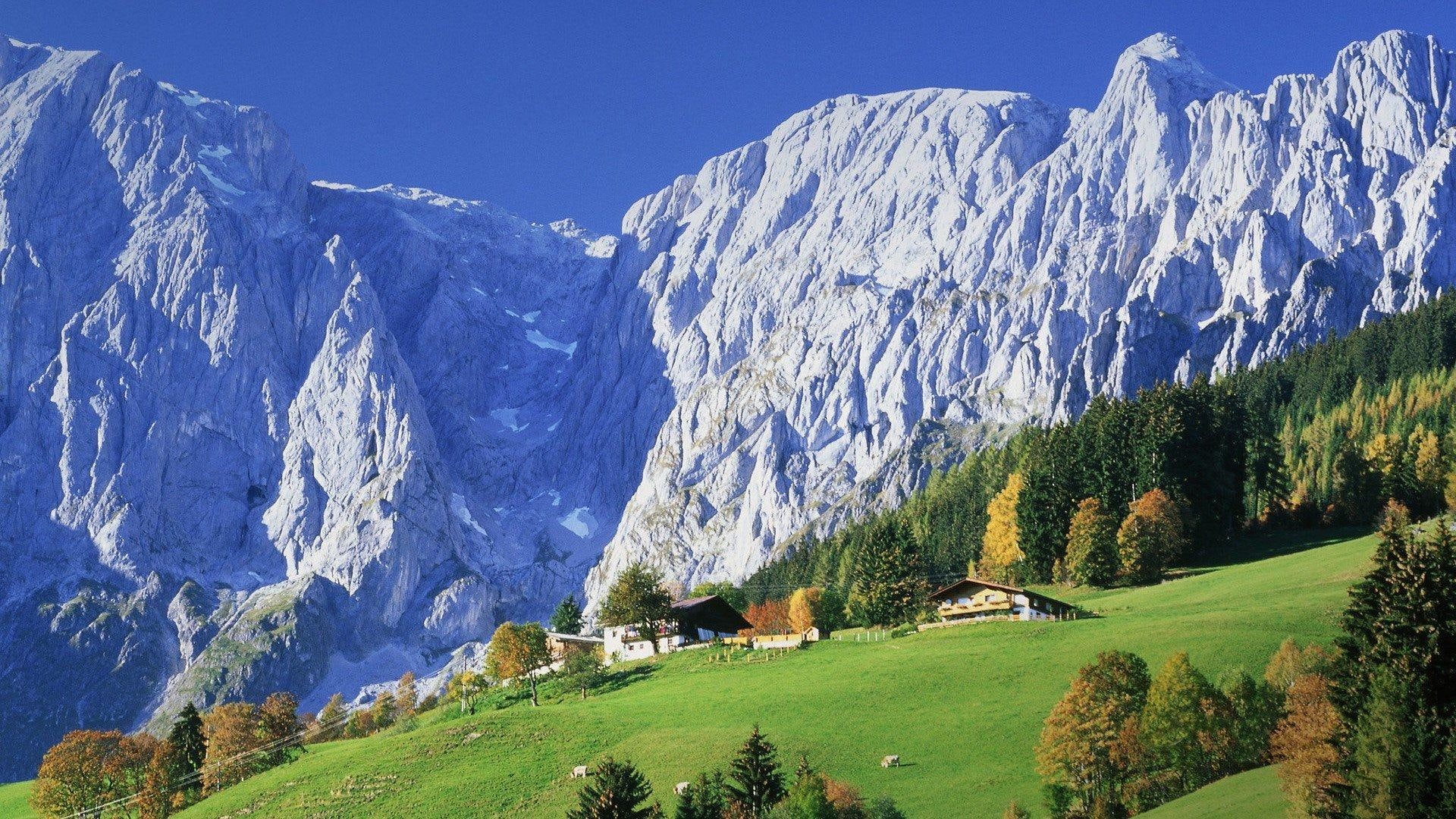 austrian, grass, chalets, scenery, nature and landscapes, stuning, 1080P, cows, alps, mountains, HD Wallpaper