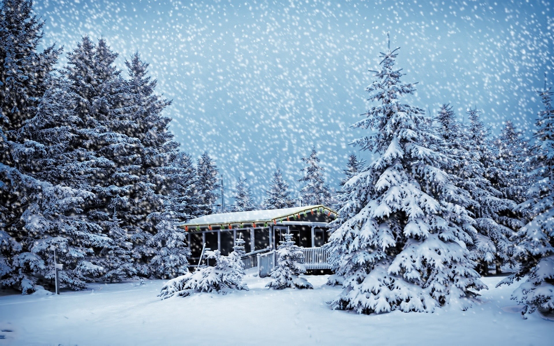 1080P, cold temperature, beauty in nature, land, plant, winter, tranquility, coniferous tree, trees, tranquil scene, frozen, pine tree, tree, architecture, HD Wallpaper