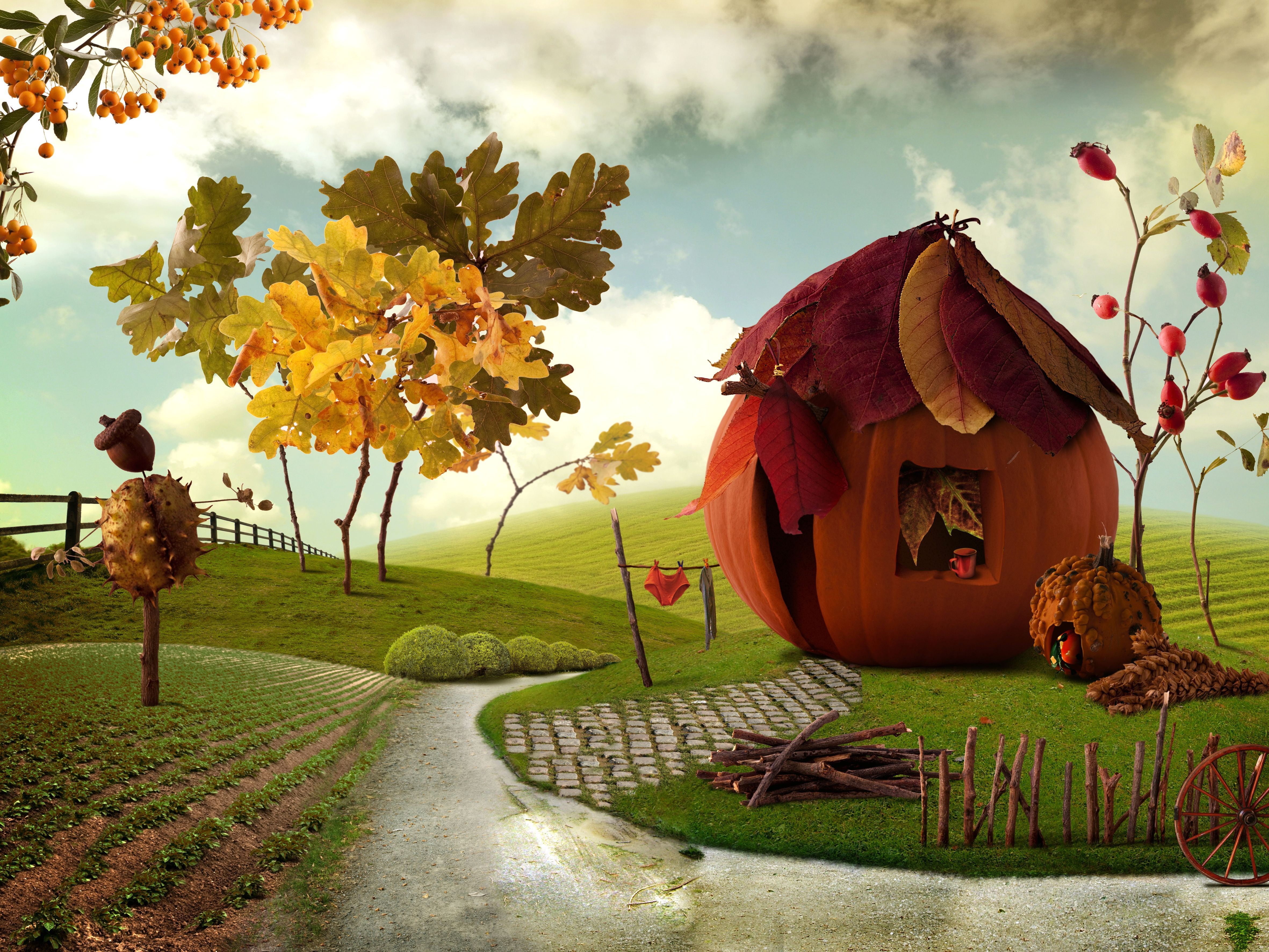 art and craft, halloween, 4K, Pumpkin house, holiday, autumn, no people, plant part, growth, cultures, grass, wood - Material, plant, change, outdoors, HD Wallpaper