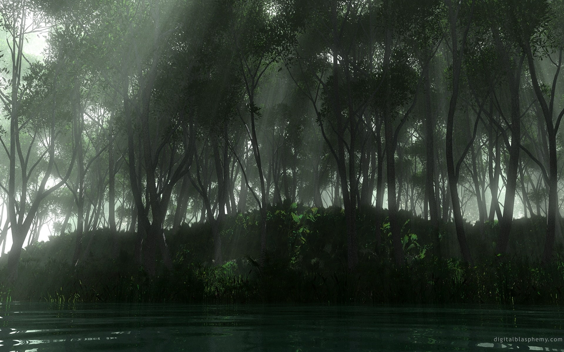 hd, x, trees, forests, nature, icy, digitized, seasons, sweltering, photo, amazonia, 1080P, siberia, art, HD Wallpaper