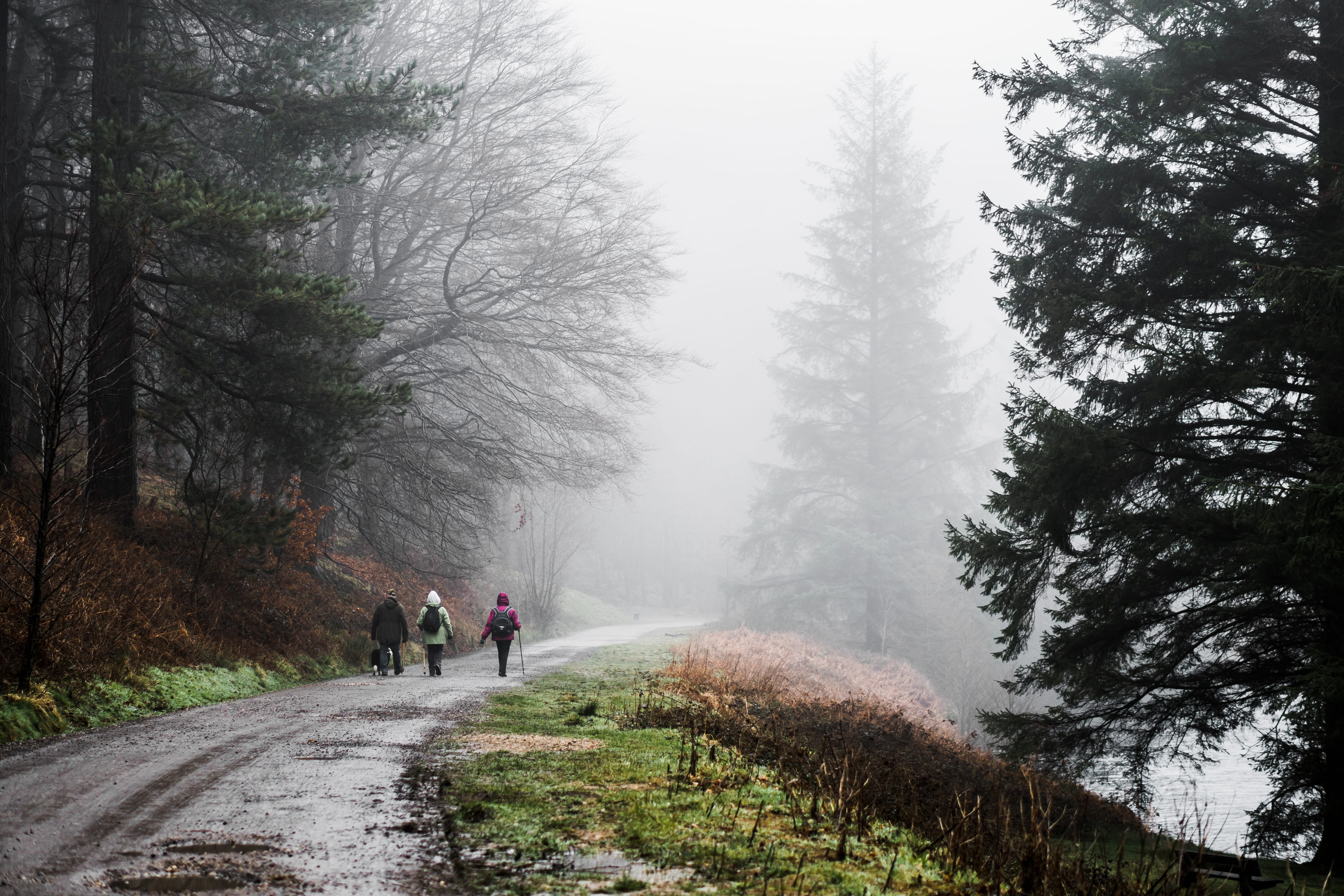 group of people, walking, peak district, trees, leisure activity, landscape, lifestyles, outdoors, ladybower reservoir, beauty in nature, fogs, nature, HD Wallpaper