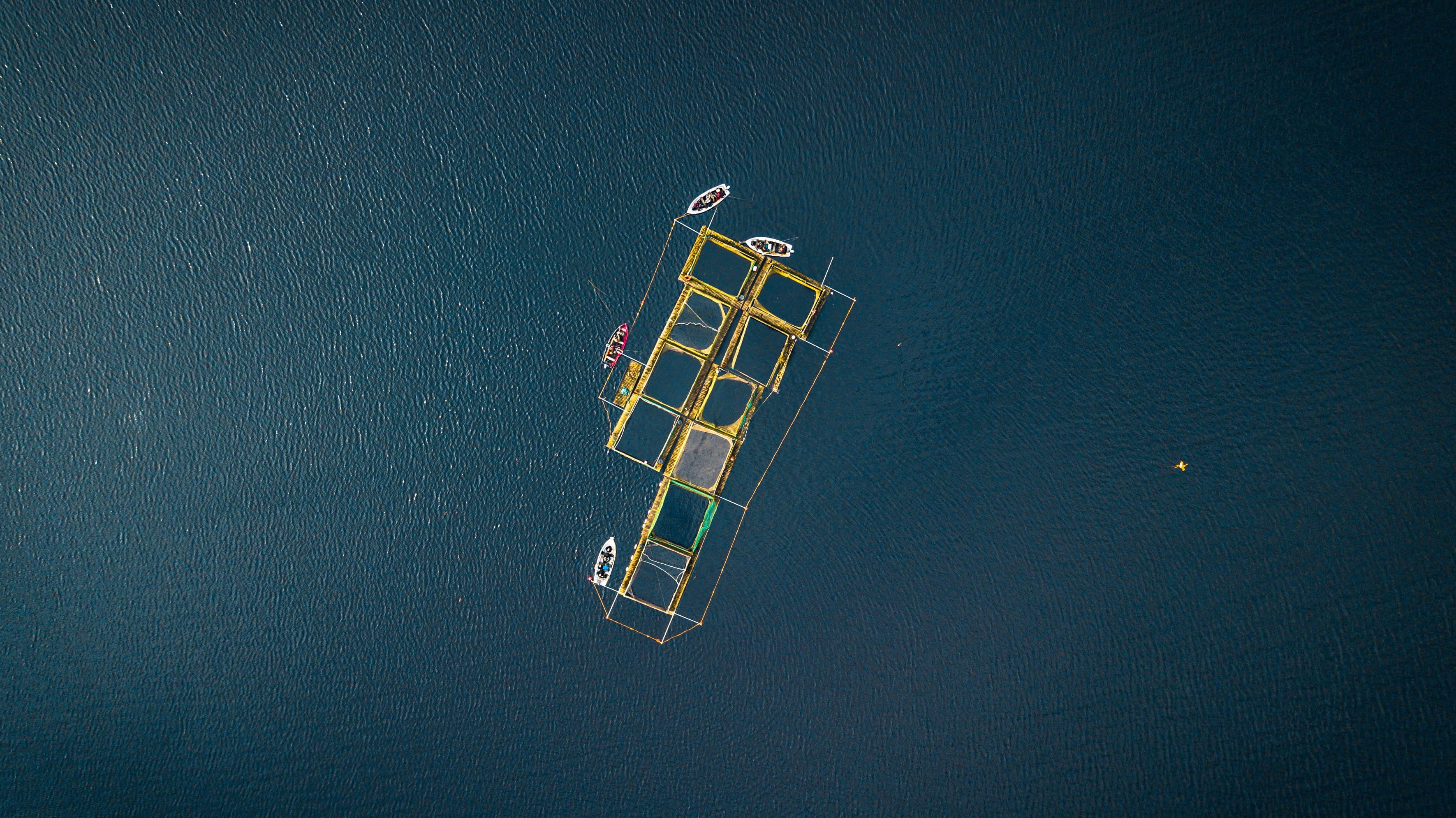 day, beside, transportation, mode of transportation, photo, ocean, sunlight, tranquility, 2K, sea, hope valley, nautical vessel, view, high angle view, HD Wallpaper