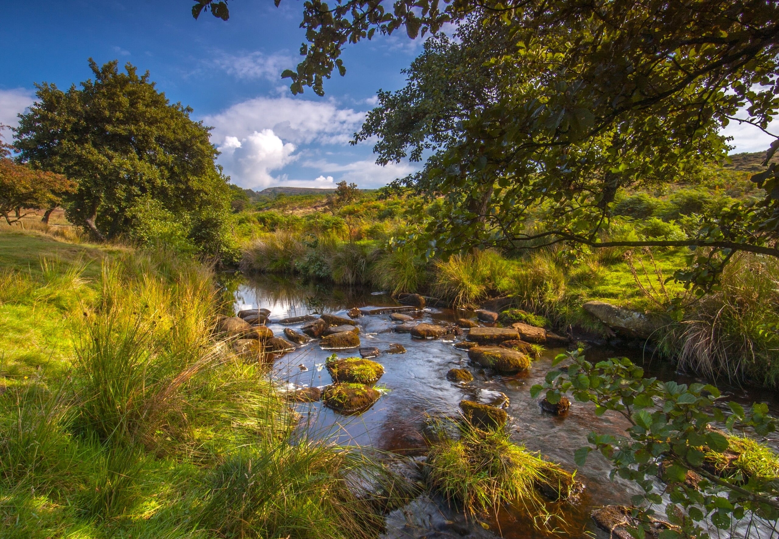 England, cloud - sky, Derbyshire, Padley Gorge, Burbage Brook, The Peak District, scenics - nature, trees, day, beauty in nature, flowing water, forest, HD Wallpaper