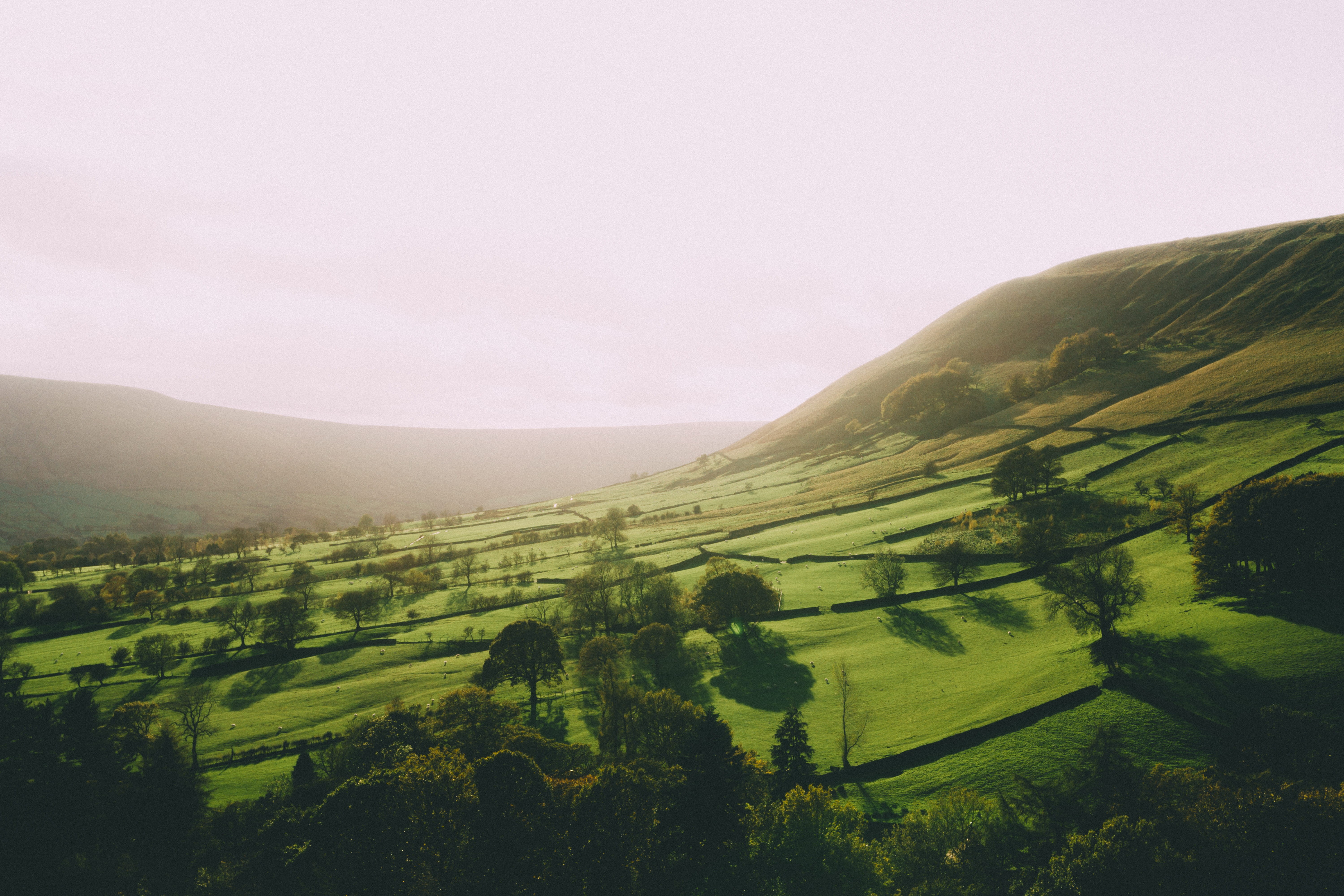 environment, mountain, landscape, green color, plant, golden hour, hope valley, growth, no people, beauty in nature, tree, idyllic, edale, tranquil scene, HD Wallpaper