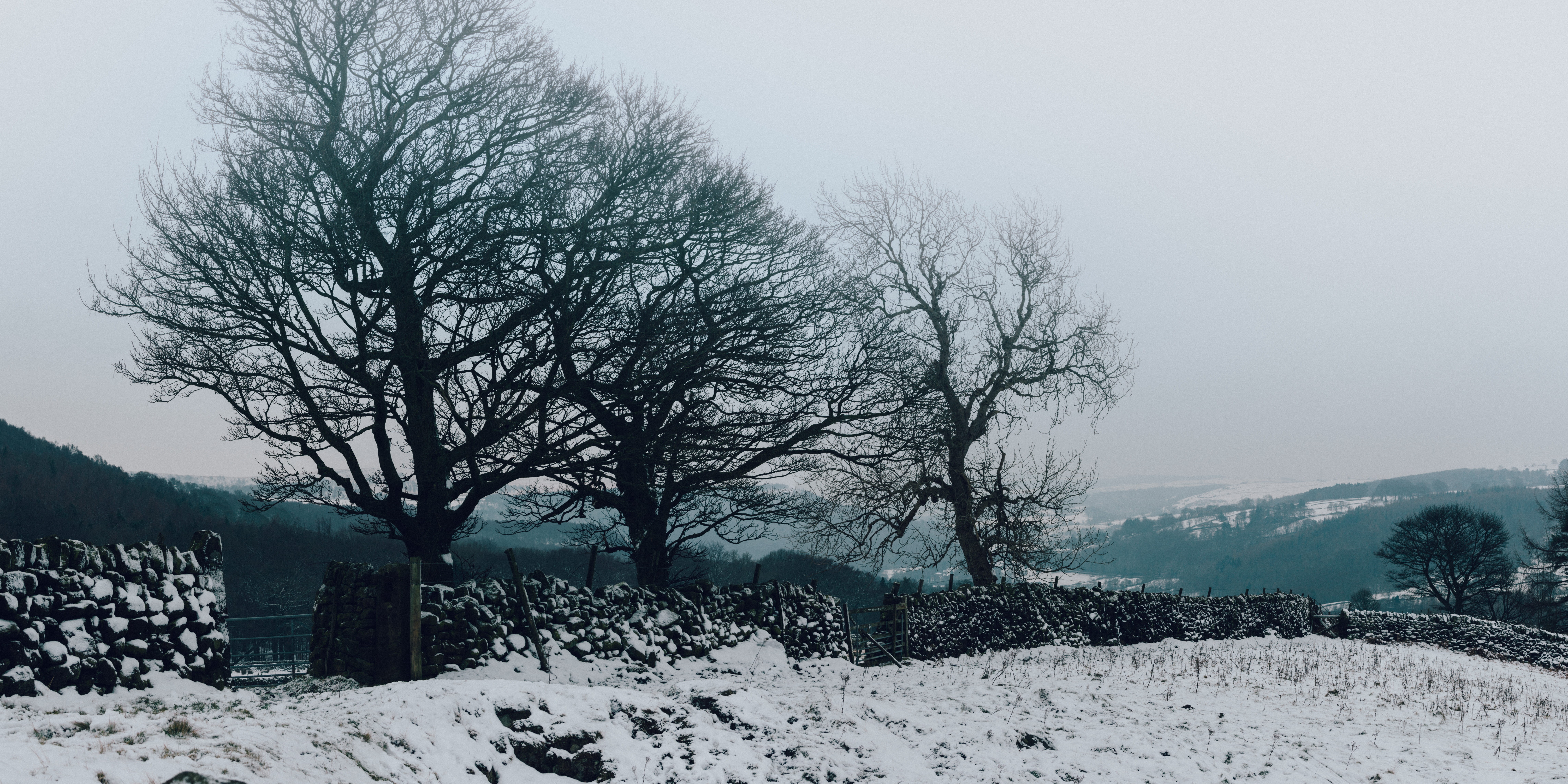  snowing, peak district, white color, beauty in nature, plant, tranquility, tranquil scene, no people, covering, stone, bare tree, united kingdom, HD Wallpaper