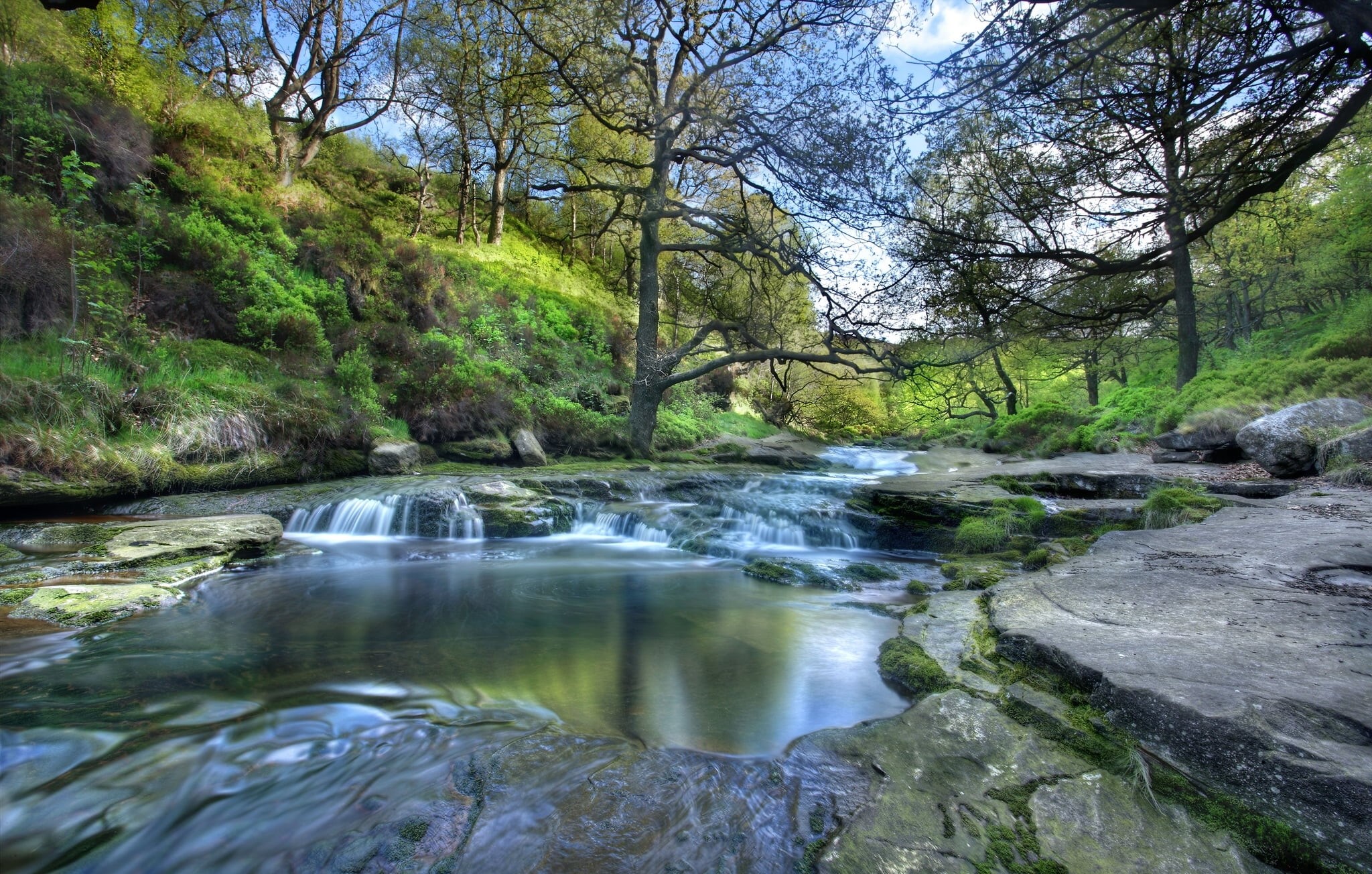 pond, non-urban scene, water, solid, river, tranquil scene, plant, the slopes, stream - flowing water, power in nature, woodland, forest, nature, outdoors, HD Wallpaper