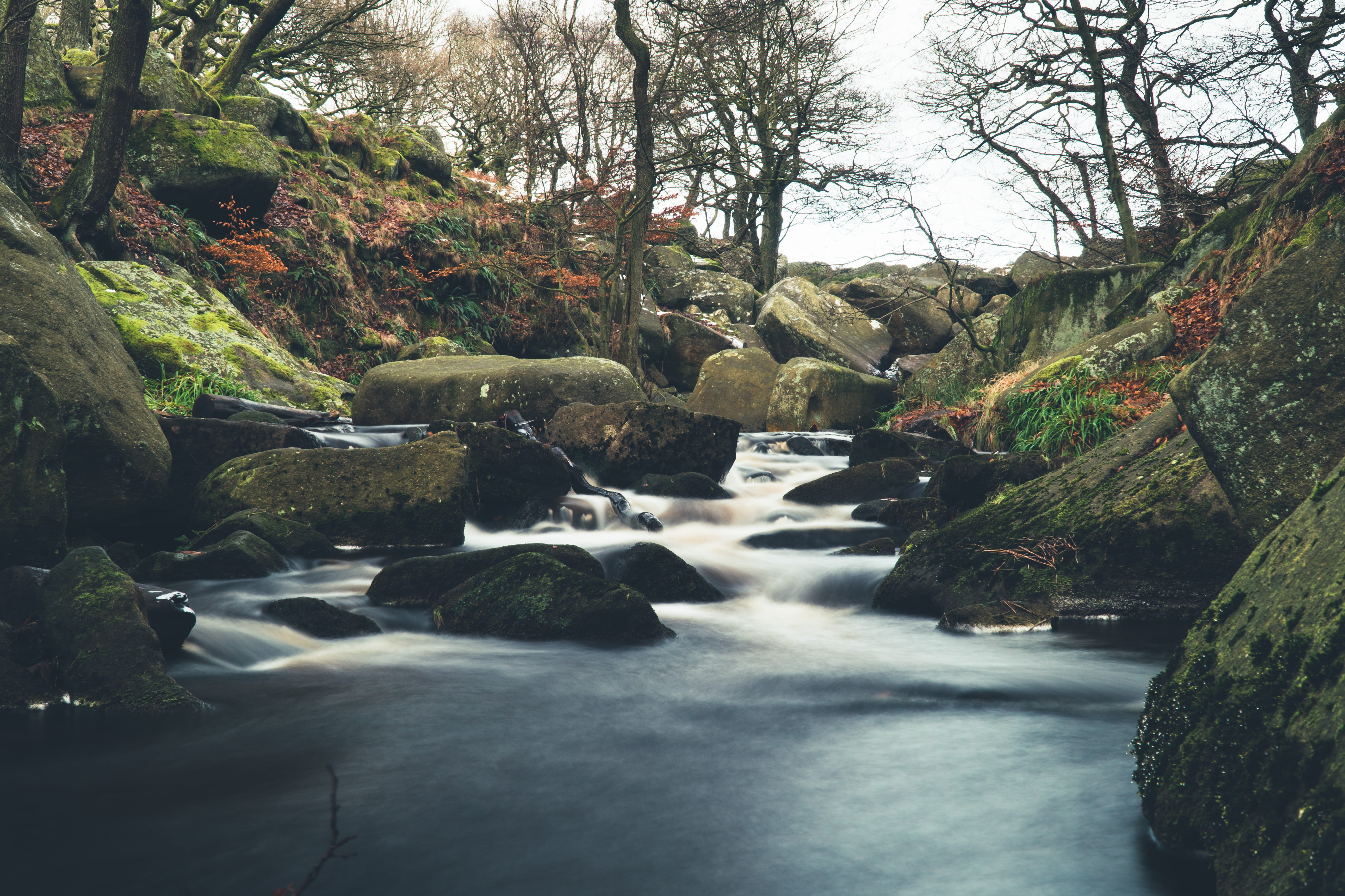 power in nature, outdoors, no people, rock - object, uk, united kingdom, woods, forest, waterfall, blurred motion, rock, motion, peak district, plant, water, HD Wallpaper