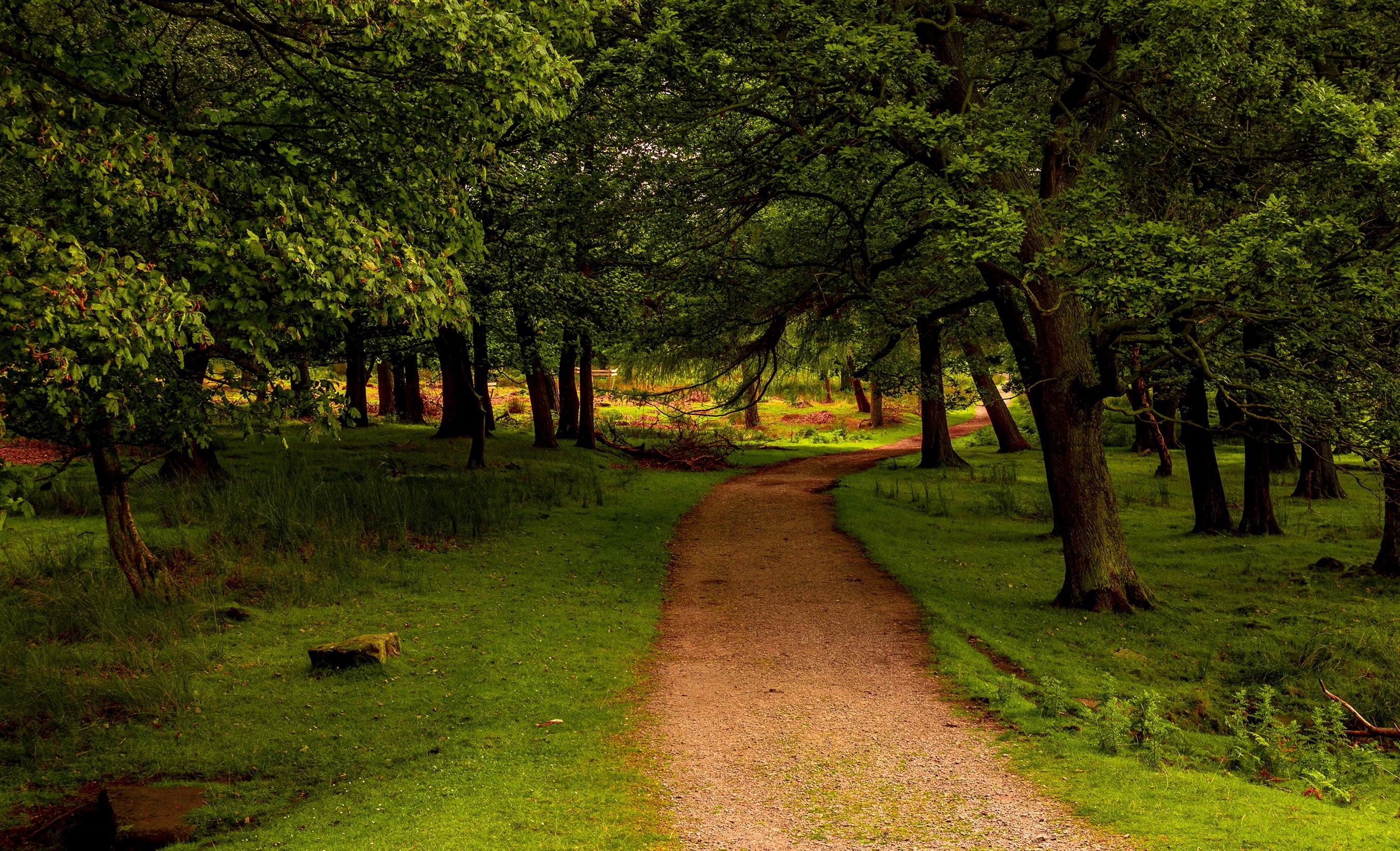 Peak District National Park, UK, 2K, greens, path, forest, Park, trees, grass, HD Wallpaper