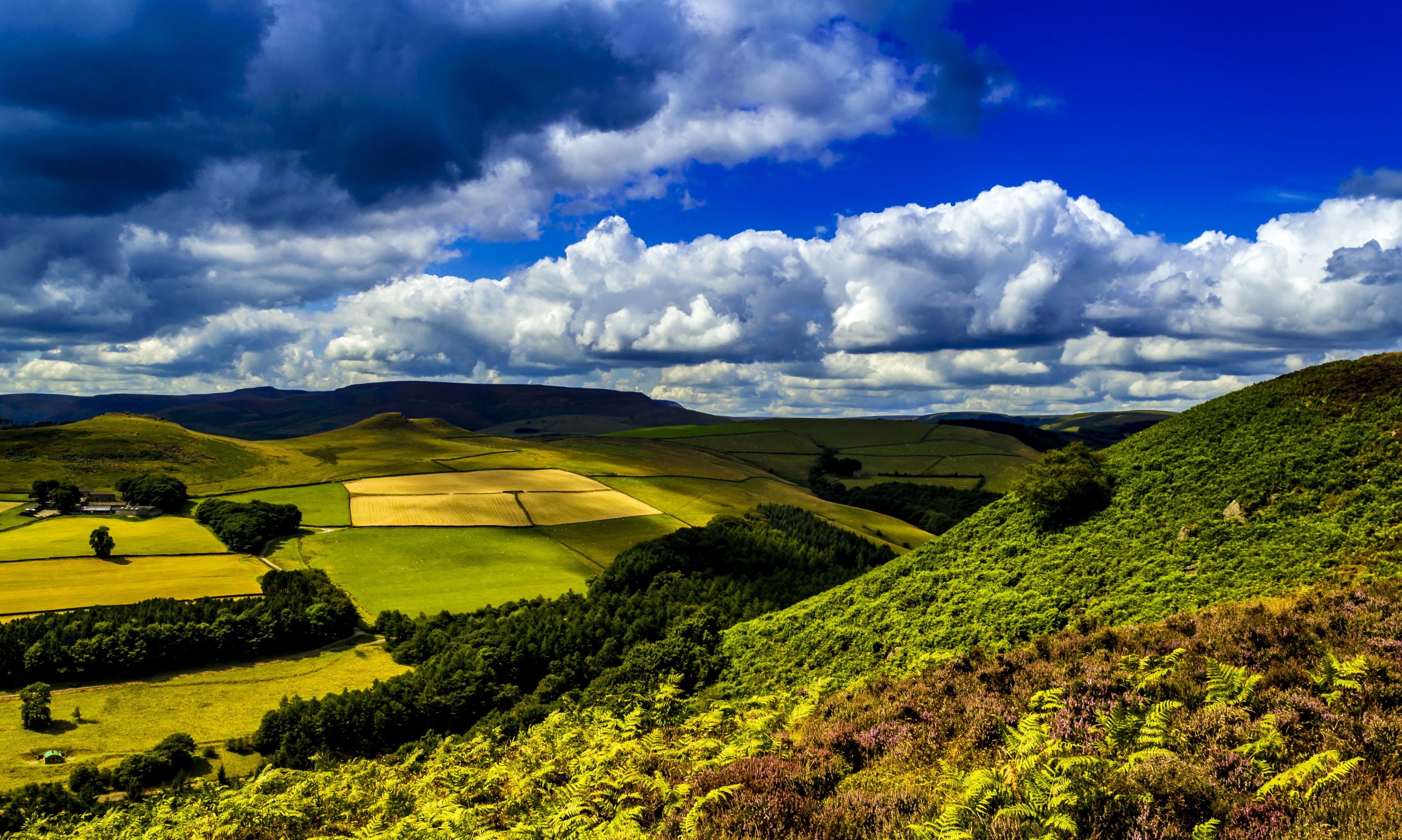 field, 2K, ladybower, nature, clouds, landscape, united, ferns, scenery, kingdom, HD Wallpaper