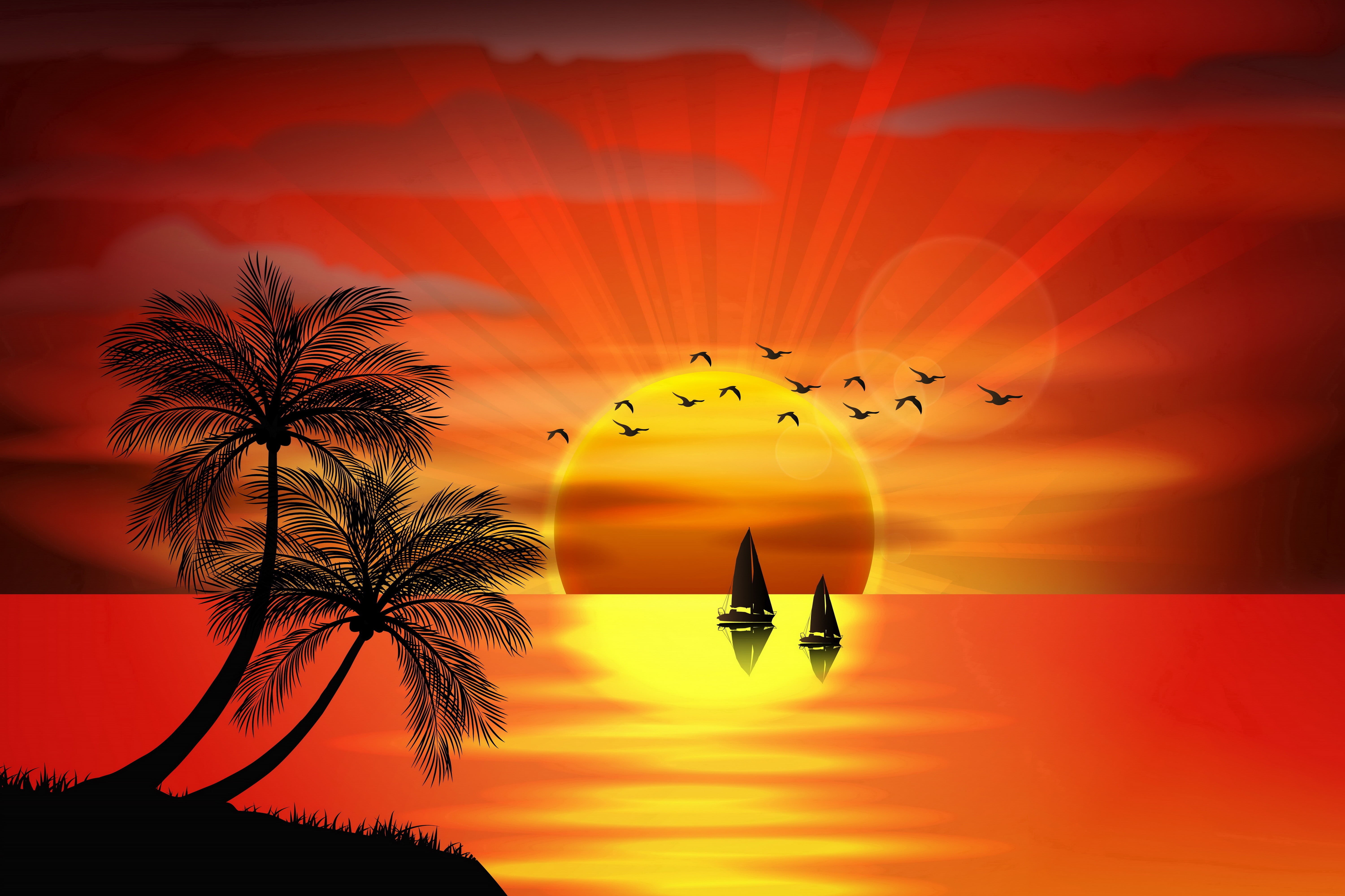 scenics - nature, flying, water, dusk, sun, birds, travel, sunset, plant, vacations, night, scenics, sea, palms, red, landscape, backgrounds, heat - Temperature, HD Wallpaper