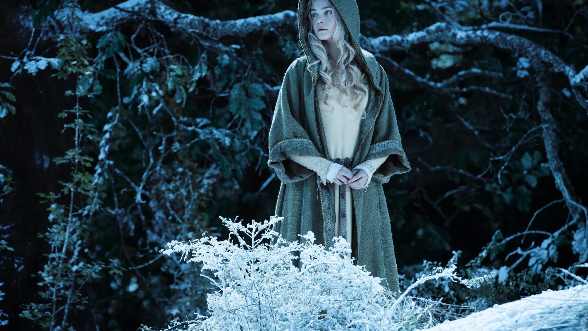 people, young women, plant, outdoors, grave, land, s, cold temperature, women, forest, snow, females, young adult, nature, coat, standing, three quarter length, HD Wallpaper