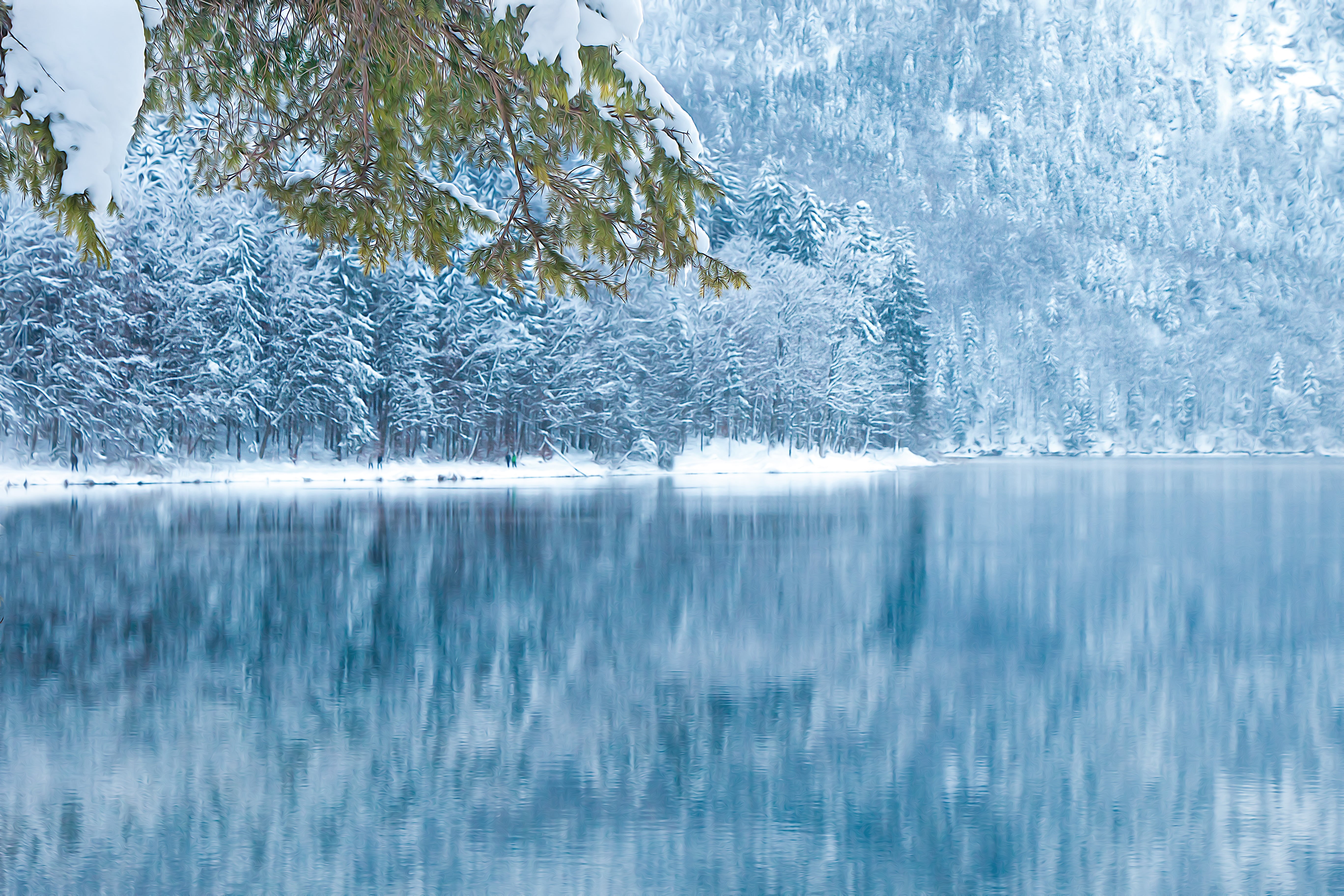 neuschwanstein, water, frost, landscape, body, scenics, alpsee, ice, trees, cold - Temperature, cold  winter, body of water, forest, 5K, snow, frozen, HD Wallpaper