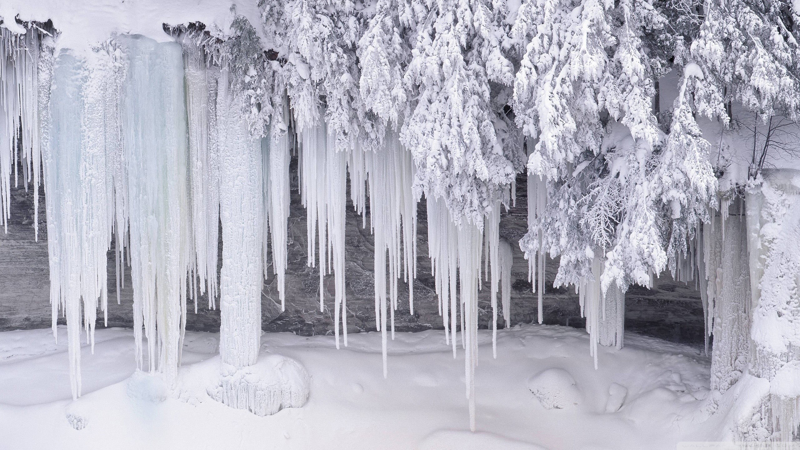 white color, snow, cold temperature, extreme weather, environment, ice, icicle, plant, no people, frozen, winter, frosted, scenics - nature, nature, tranquility, HD Wallpaper