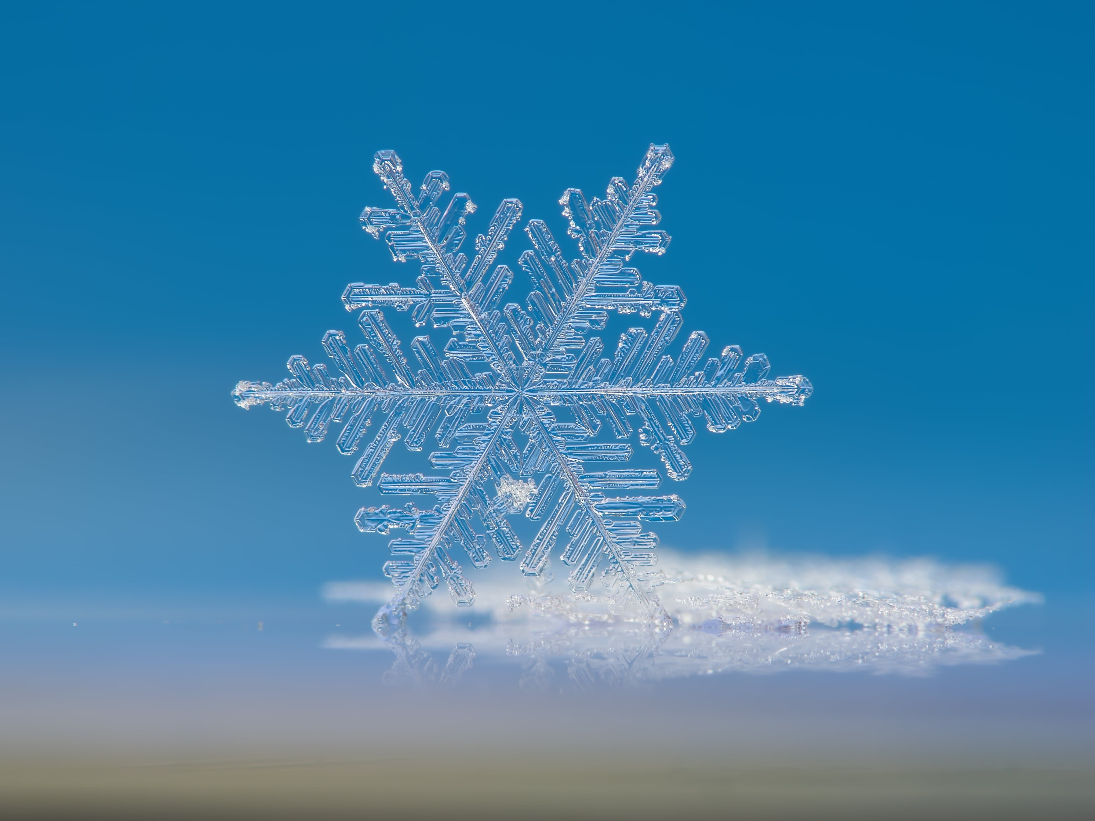 macro, snow, blue, abstract, christmas, season, frozen, macro photography, Snowflake, backgrounds, 2K, winter, photography, ice, frost, HD Wallpaper
