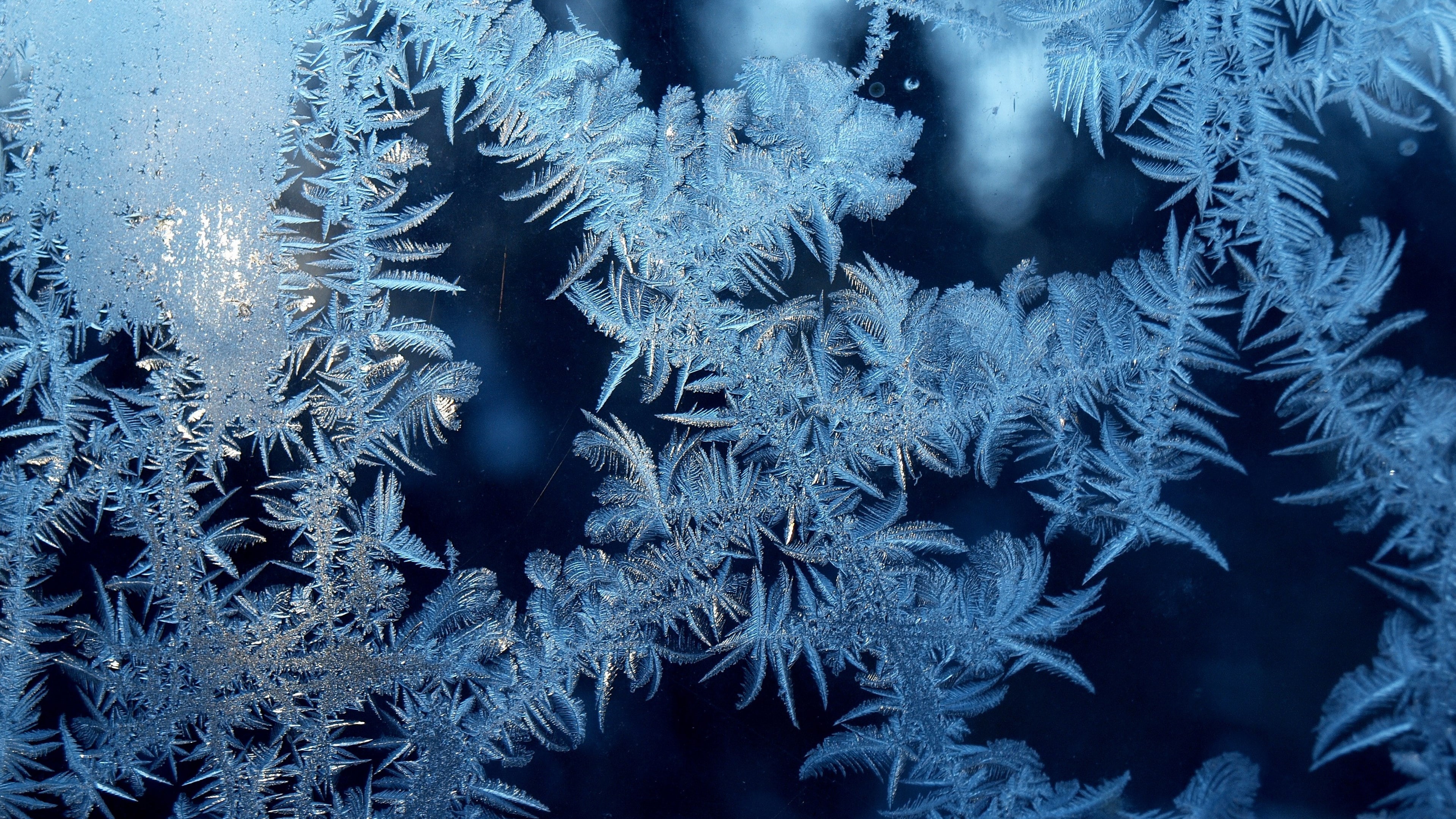 winter, window, ice, indoors, abstract, beauty in nature, frost, full frame, cold temperature, no people, ice crystal, close-up, nature, frosted glass 4k hd image, HD Wallpaper