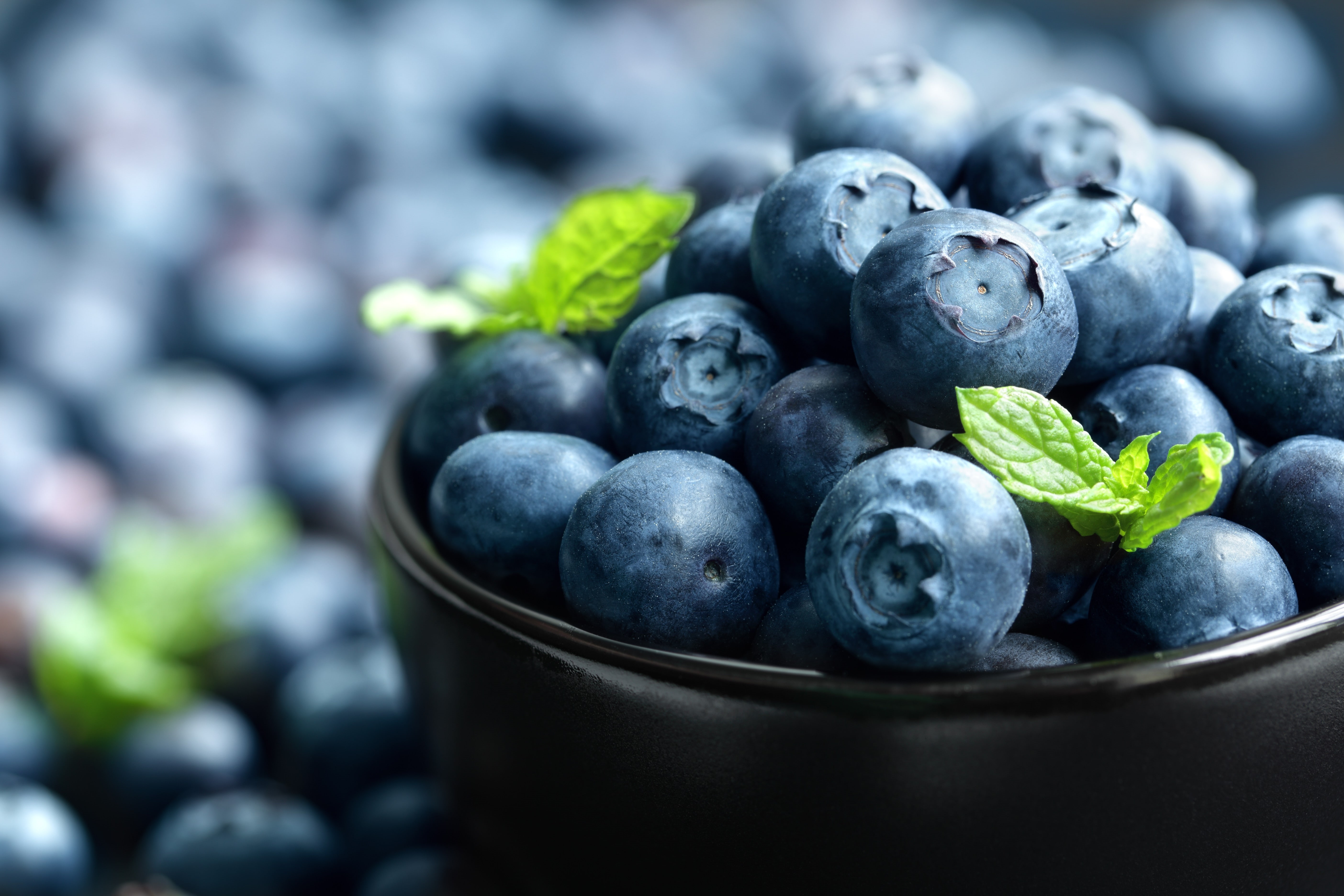 fruit, 5K, berries, macro, HD Wallpaper