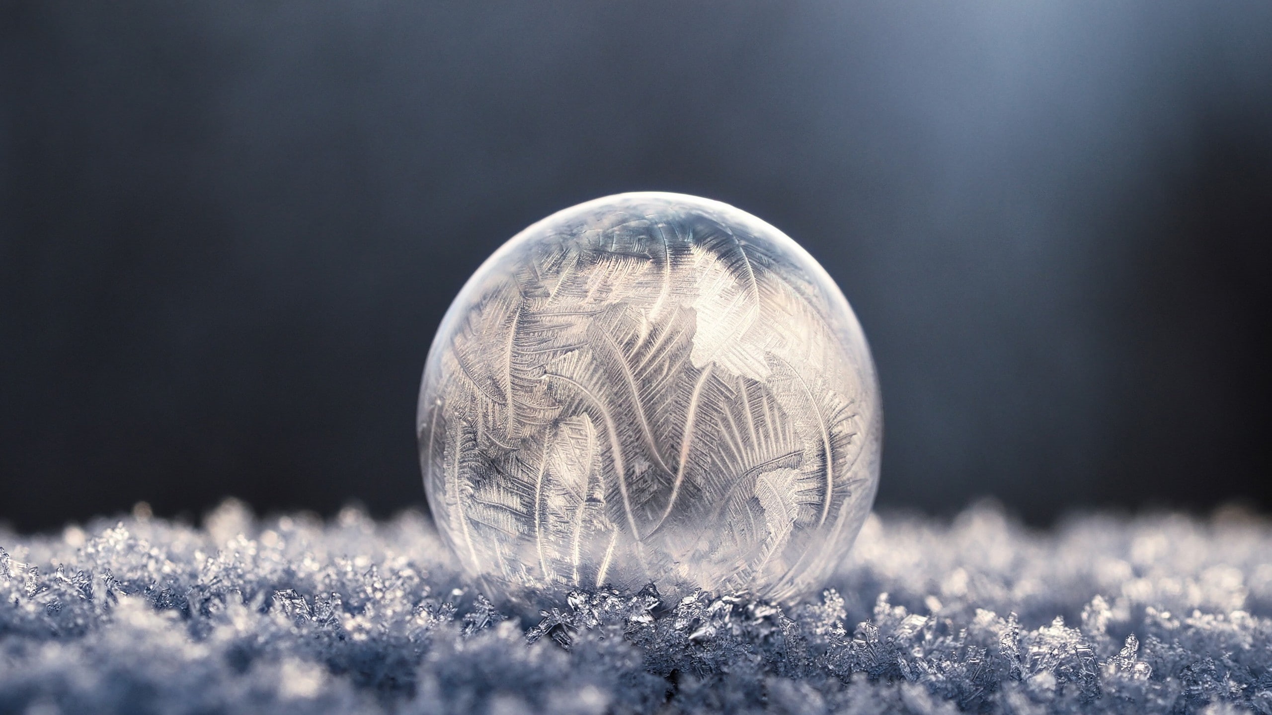 bubbles, winter, photography, ice, soap, macro, 2K, frost, frozen bubble, HD Wallpaper