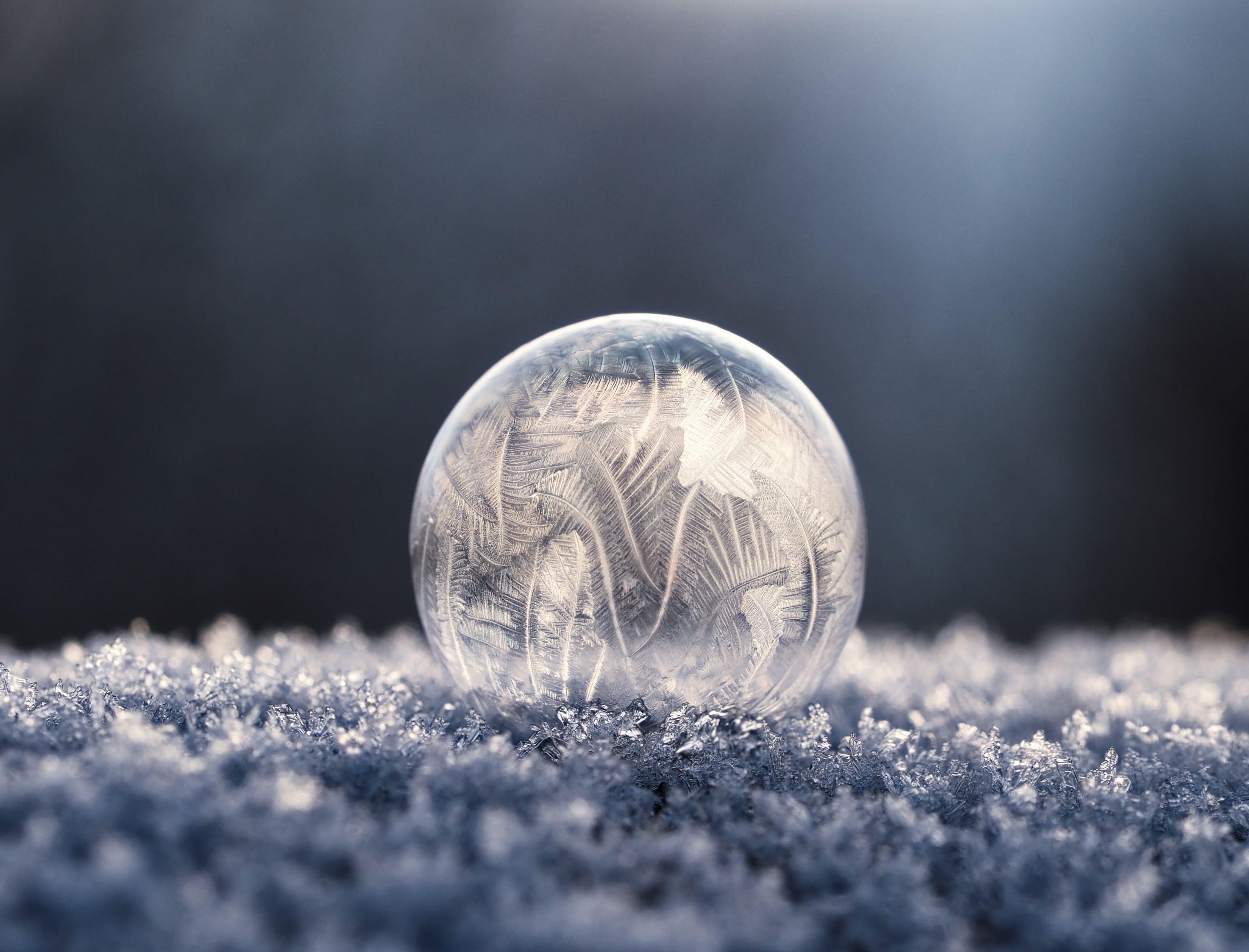 focus, close up, geometric shape, sphere, frozen bubble, cold temperature, macro, ice, bowl, frozen, no People, cold, photography, frost, shape, on ice, HD Wallpaper