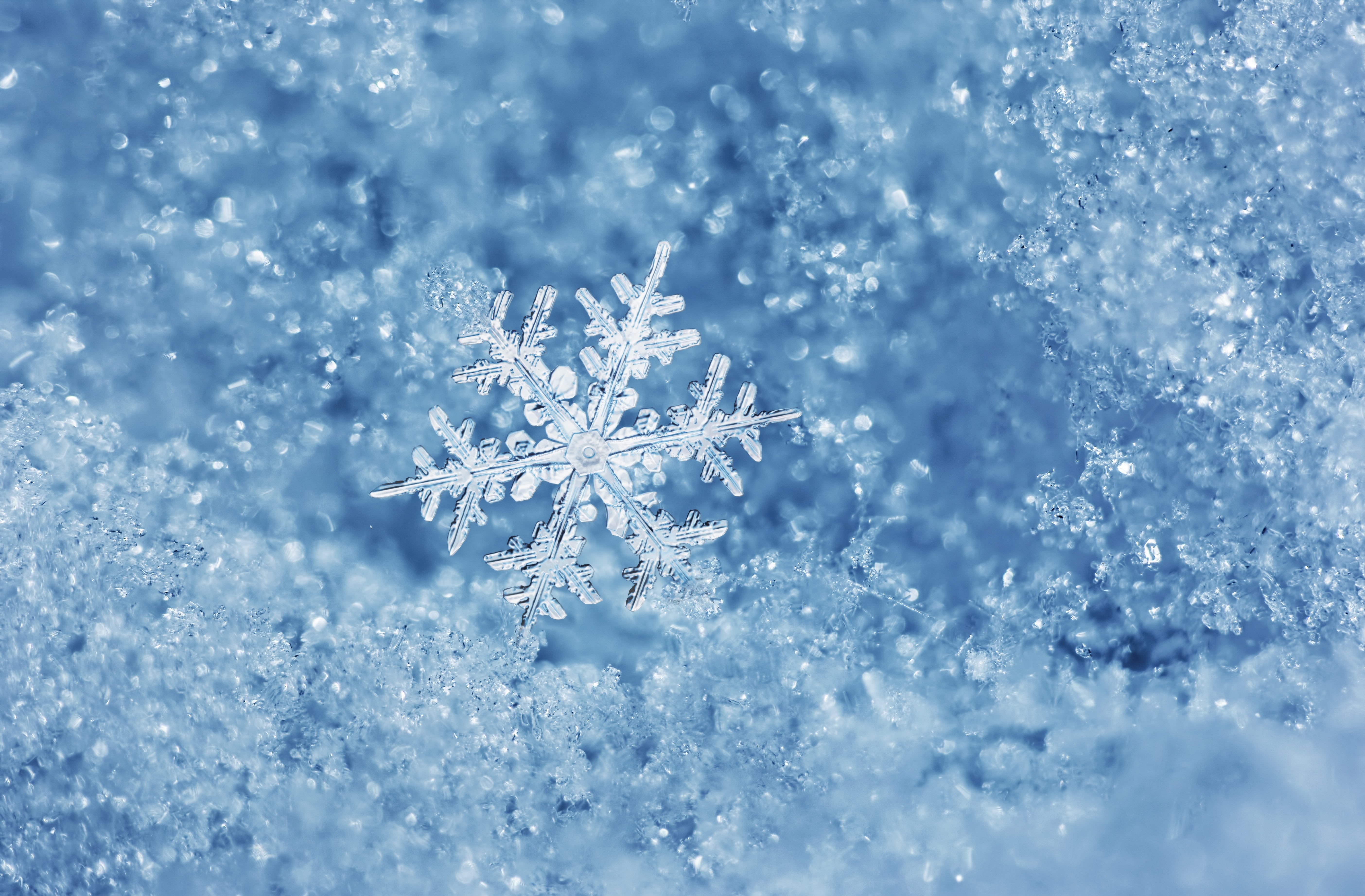 crystal, year, blue, ice Crystal, white color, glowing, shape, shiny, decor, star Shape, water, glitter, cold temperature, holiday, snowing, copy Space, HD Wallpaper