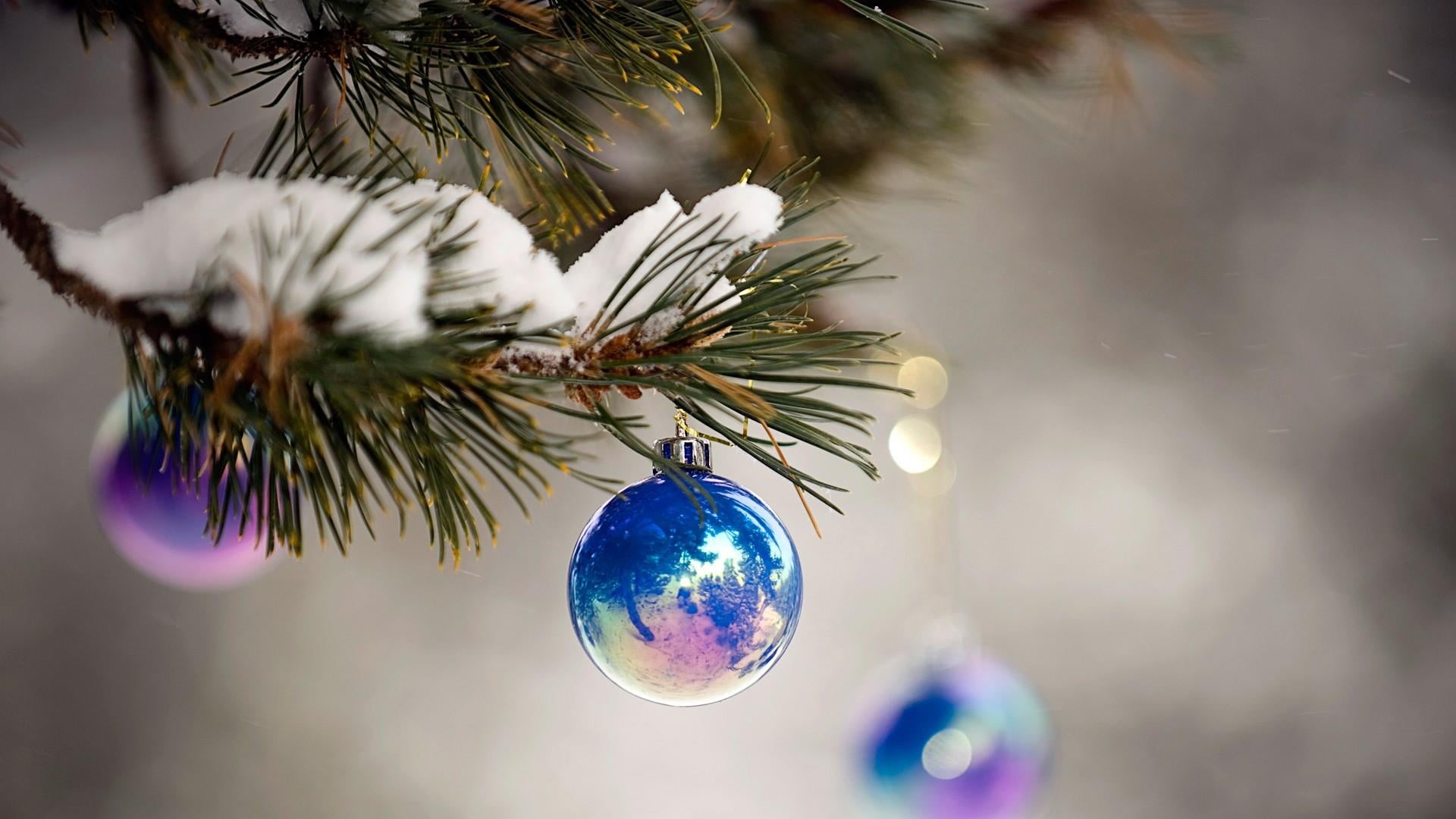 1080P, plant, event, close up, christmas ornament, winter, macro photography, illuminated, twig, outdoors, christmas ball, hanging, decoration, conifer, HD Wallpaper