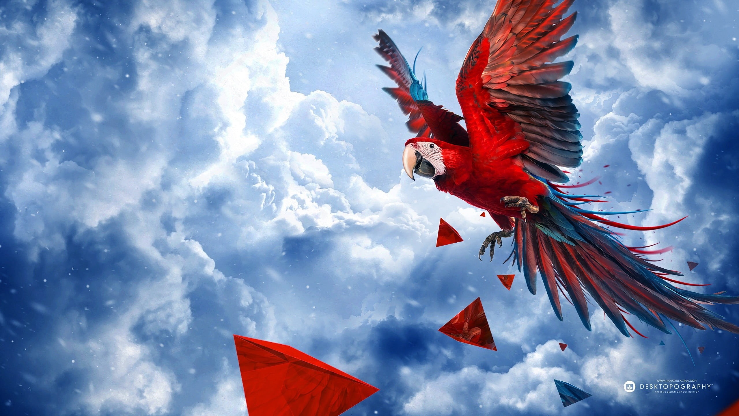 day, flying, no people, sky, cloud - sky, multi colored, animals, vertebrate, spread wings, outdoors, celebration, animal body part, parrot, red, scarlet, HD Wallpaper