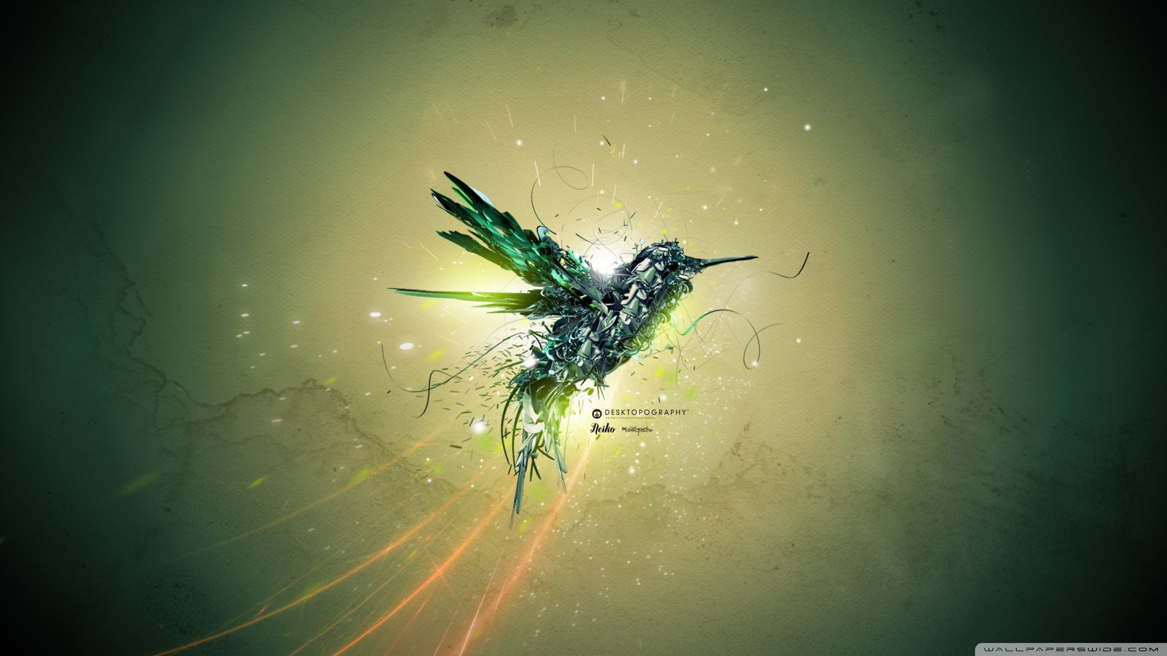 Desktopography, colibri (bird), 1080P, HD Wallpaper