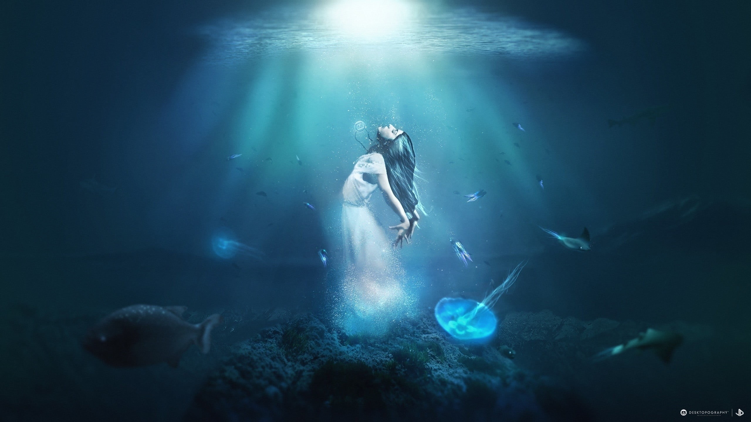 Desktopography, animal themes, sea, animal, nature, animals in the wild, underwater, woman, underwater diving, fantasy art, sport, spirit, scuba diving, HD Wallpaper