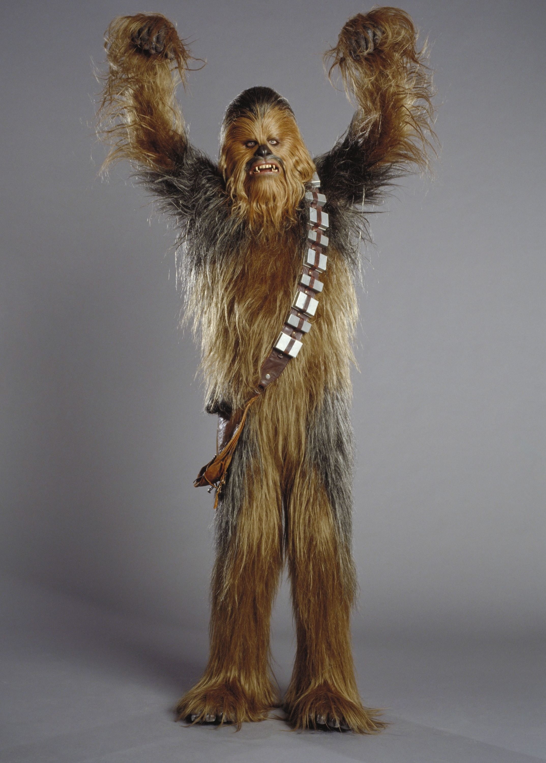 chewbacca, art, wars, video, Star Wars, wookiee, hd, star, 2K, games, Phone HD Wallpaper