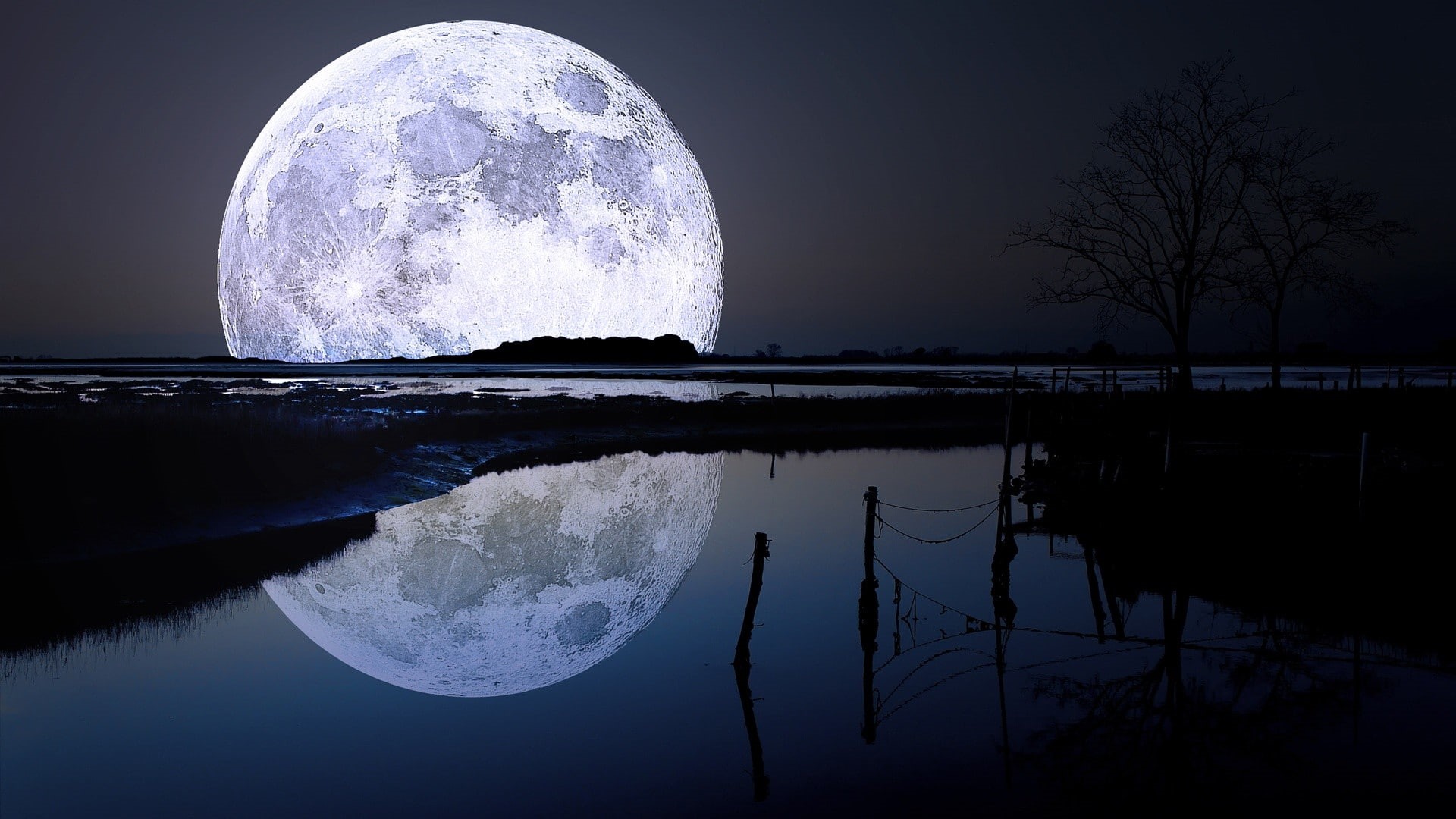 landscape, nature, night, 1080P, moonlight, lake, trees, Moon, HD Wallpaper
