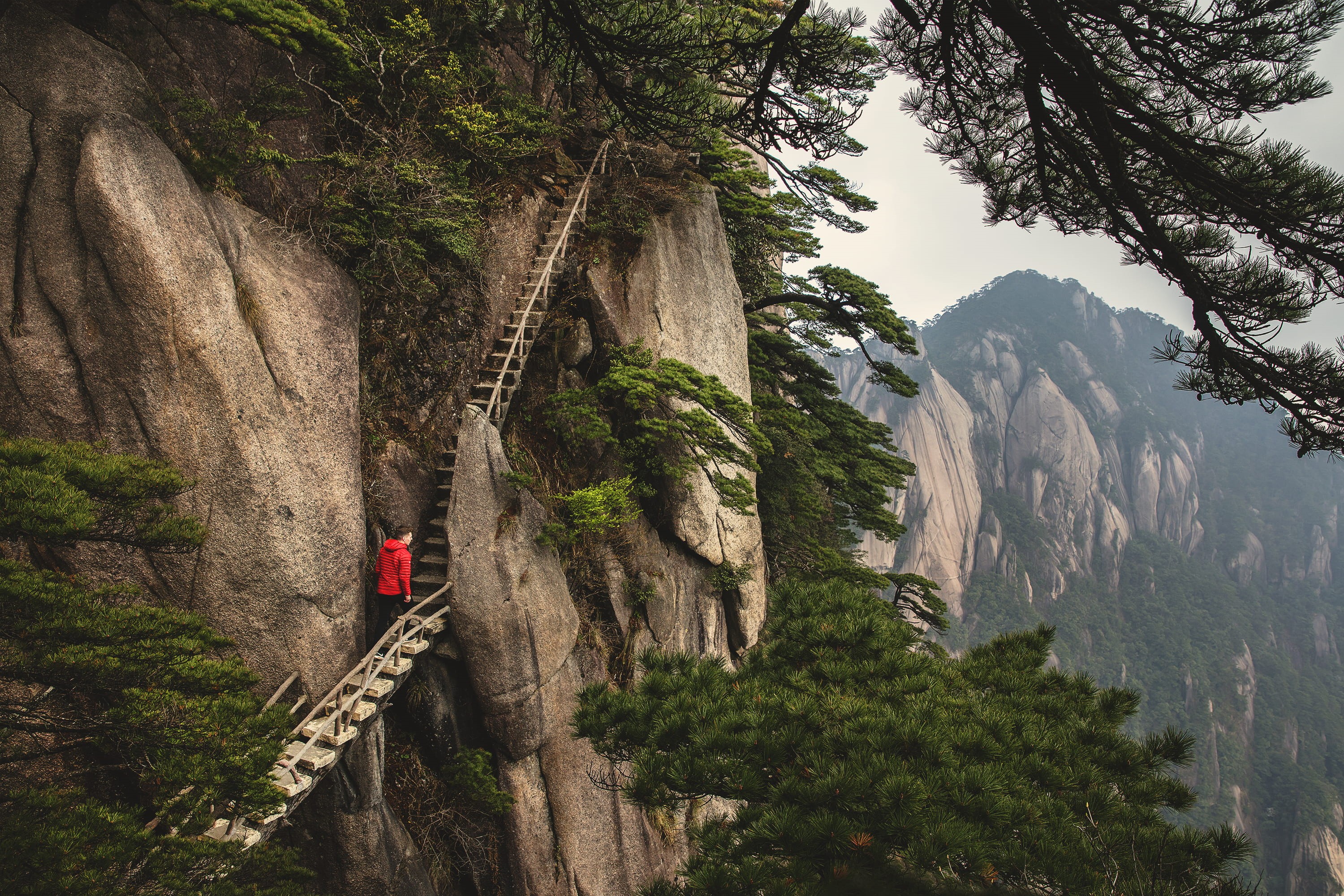 explore, pine, adventure, red, stair, beauty in nature, climb, side, cliff, rock, tree, wanderlust, walking, huangshan, plant, mountain, hiker, built structure, HD Wallpaper