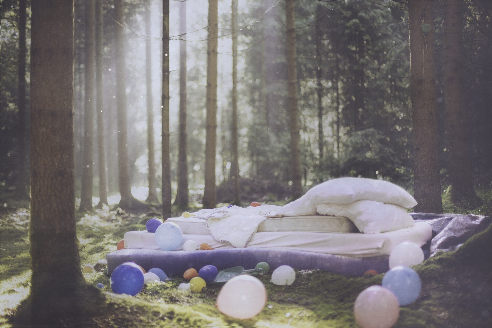 white, purple, plant, forest, tree trunk, balloon, Hanna Fasching, bed, trunk, sheet, land, sunlight, tranquility, surface level, day, environment, tranquil scene, HD Wallpaper