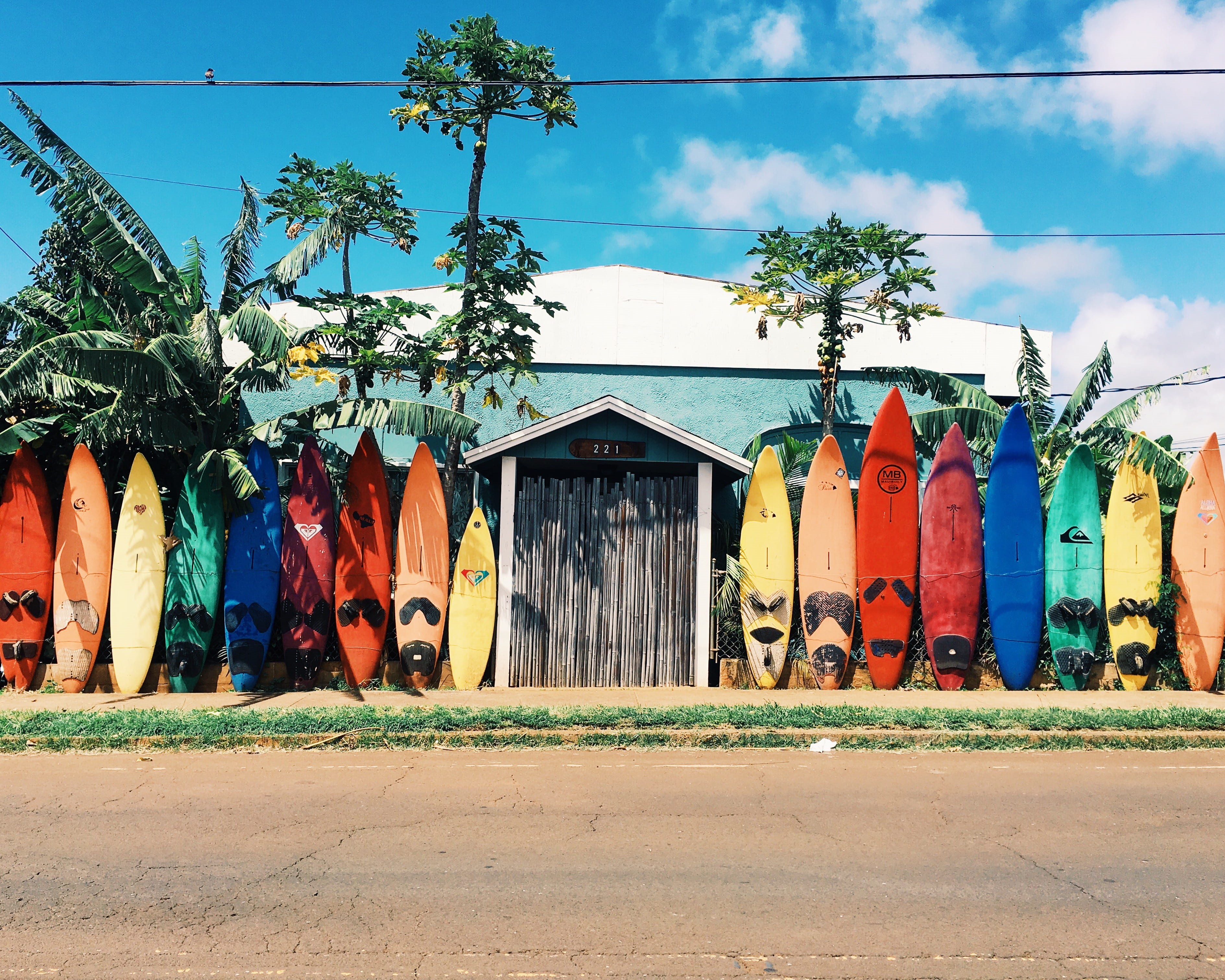 bright, surfboards, city, warmth, surf, tree, transportation, multi colored, beside, road, beach, no people, blue, surfing, architecture, white, 2K, sky, HD Wallpaper