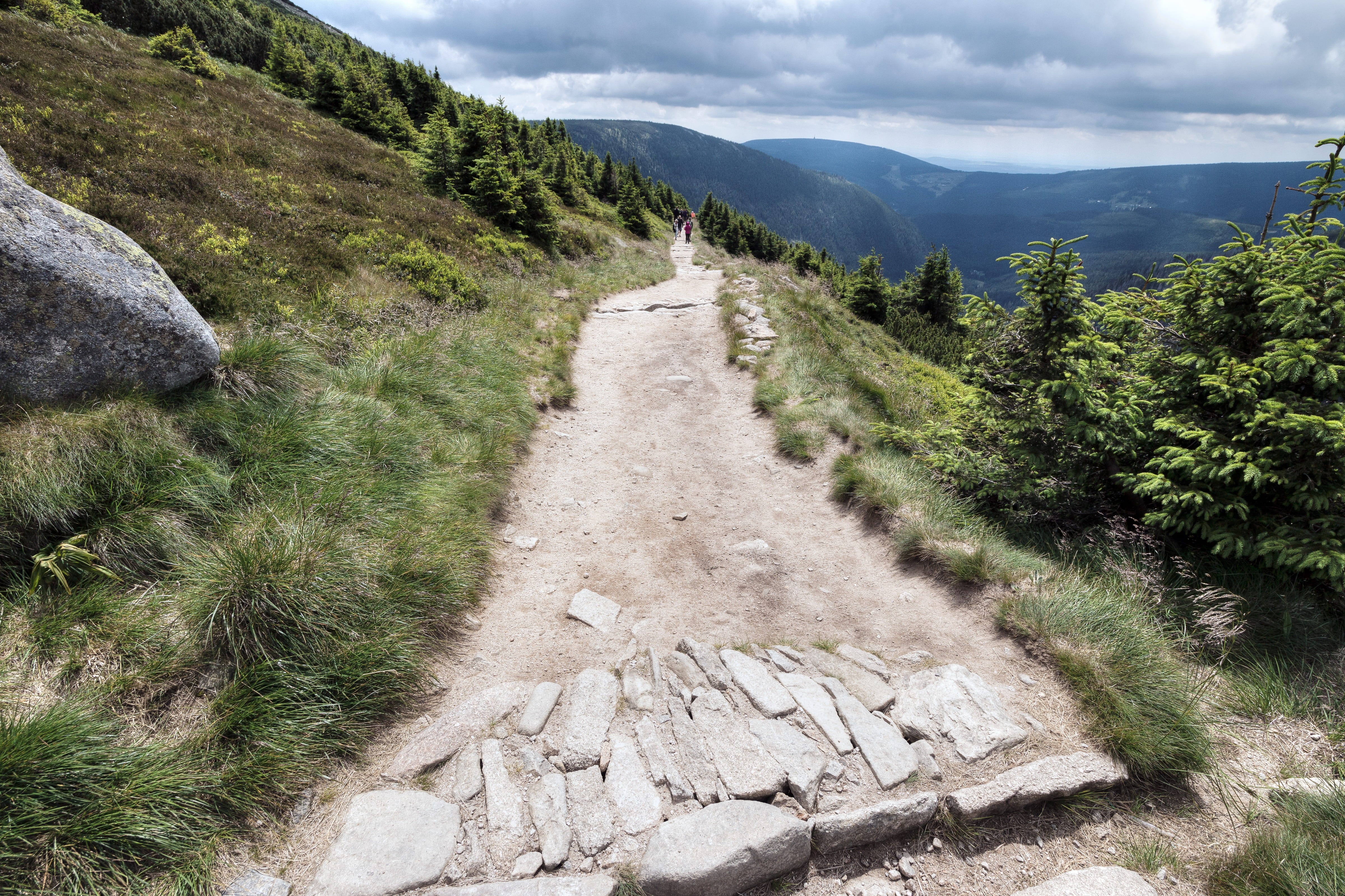 footpath, non-urban scene, outdoors, trail, grass, tree, the way forward, day, road, 4K, beauty in nature, no people, plant, mountains, green color, scenics - nature, HD Wallpaper
