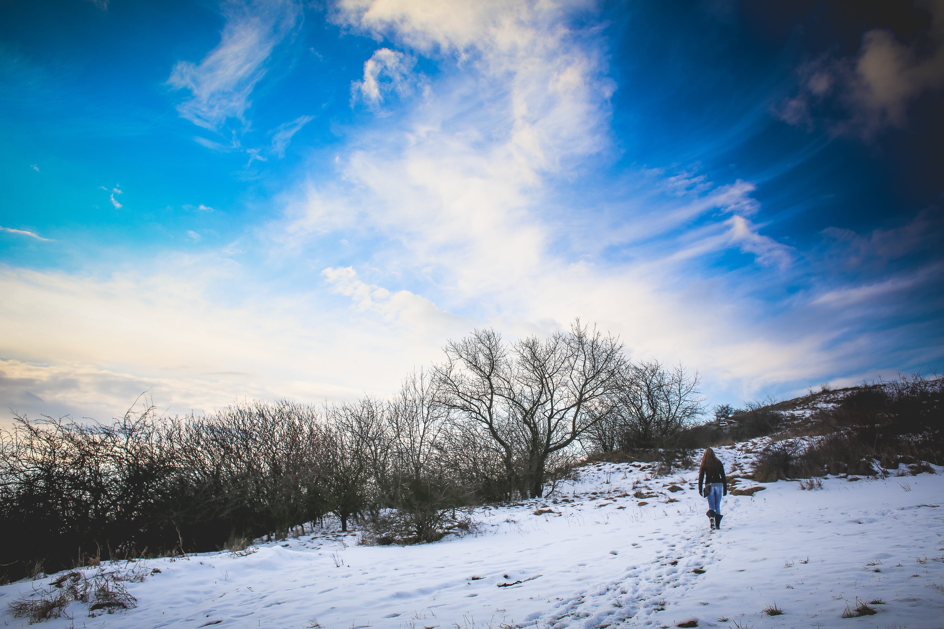 scenics - nature, rural Scene, nature, white color, lifestyles, weather, frozen, snow, field, scenics, cold - Temperature, non-Urban Scene, 4K, land, season, HD Wallpaper