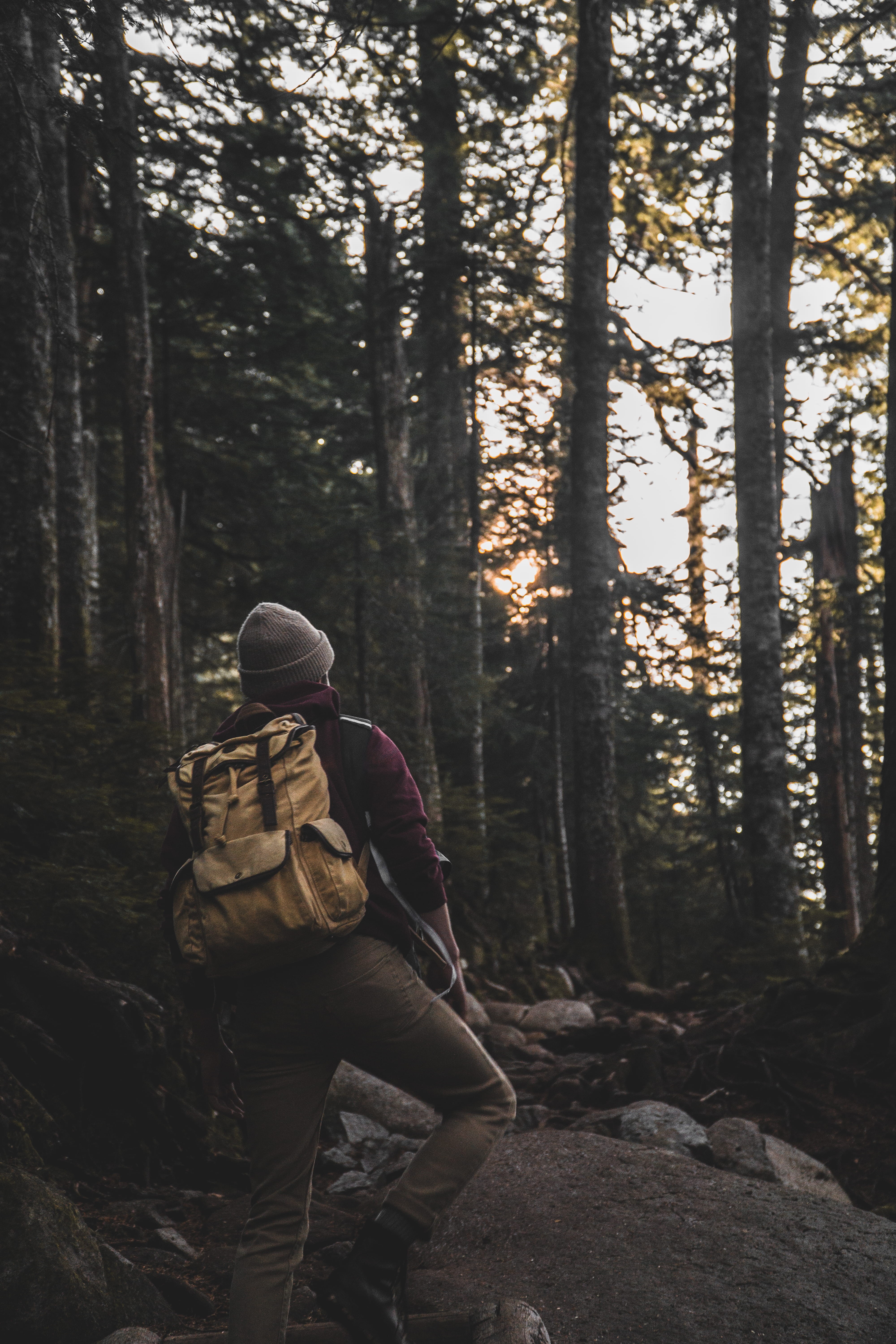 shoe, tree, day, adult, outdoors, apparel, nature, trunk, person, forest, woodland, full length, people, leisure activities, leisure activity, adventure, Phone HD Wallpaper