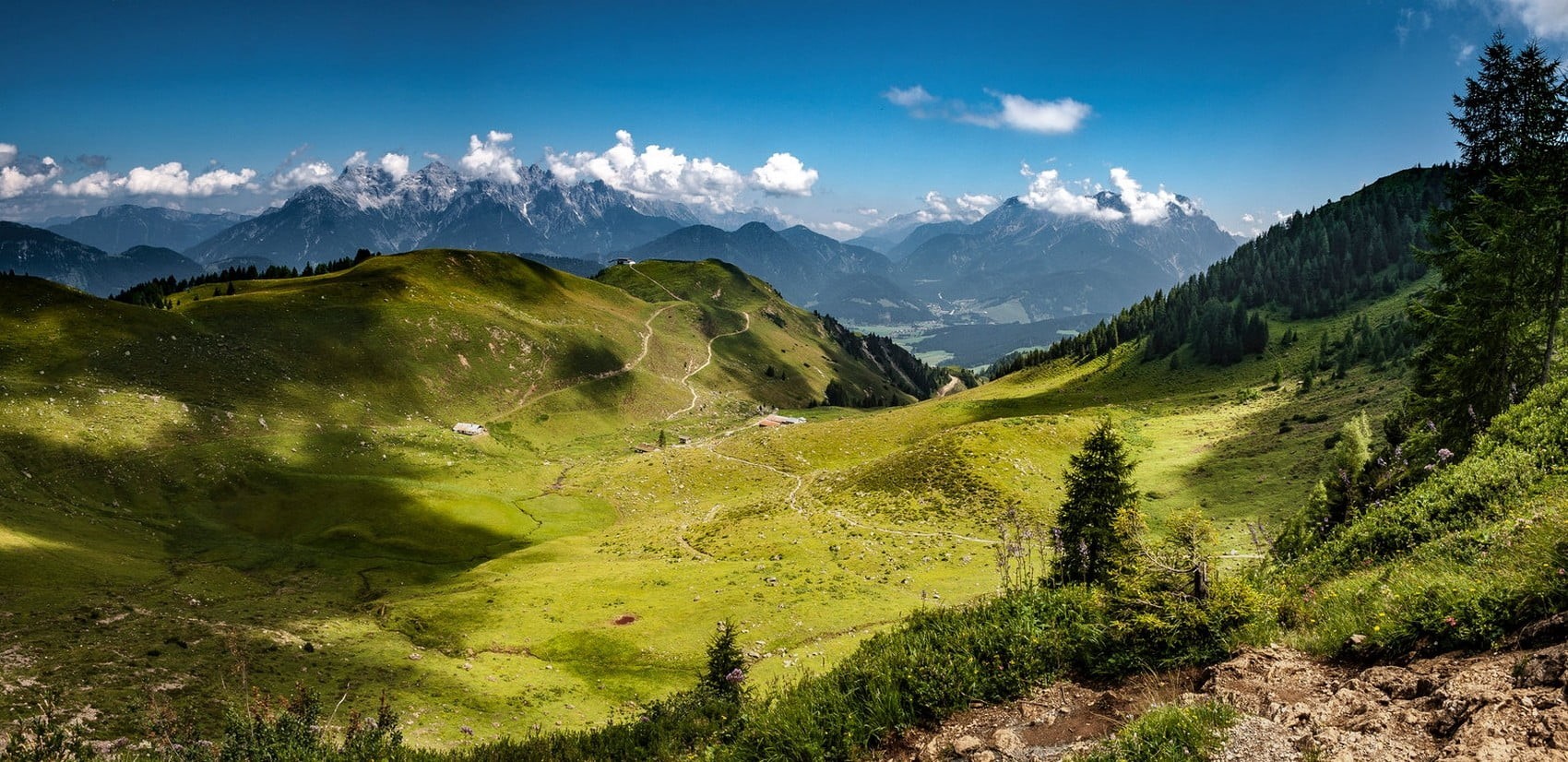 meadows, mountain range, Alps, mountain, sunlight, scenics - nature, nature, tranquility, plant, environment, green color, coniferous tree, sky, summer, HD Wallpaper