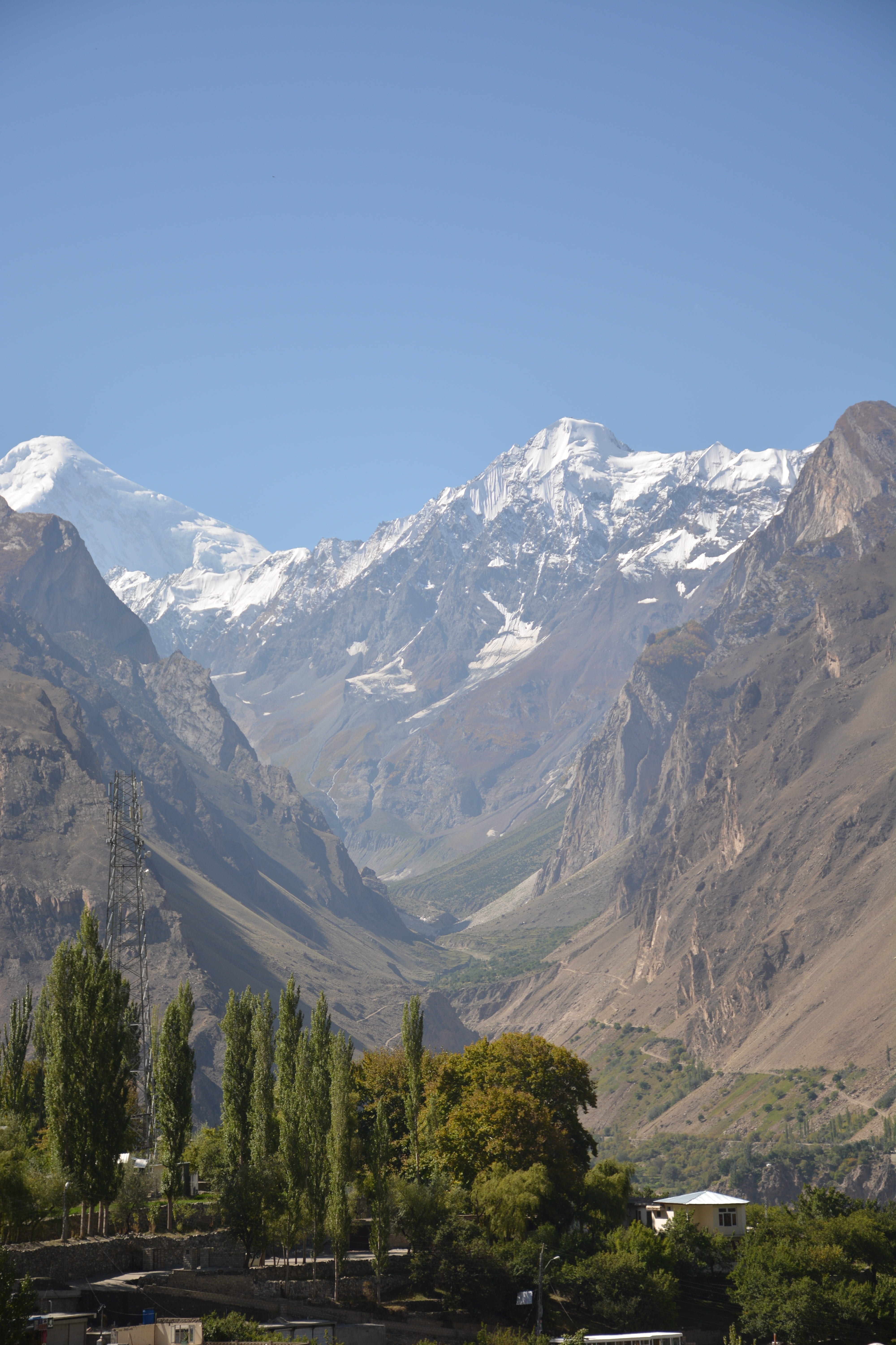 plant, tranquil scene, mountain peak, non-urban scene, environment, tree, mountain, pakistan, snow mountain, scenics - nature, no people, tranquility, outdoors, Phone HD Wallpaper