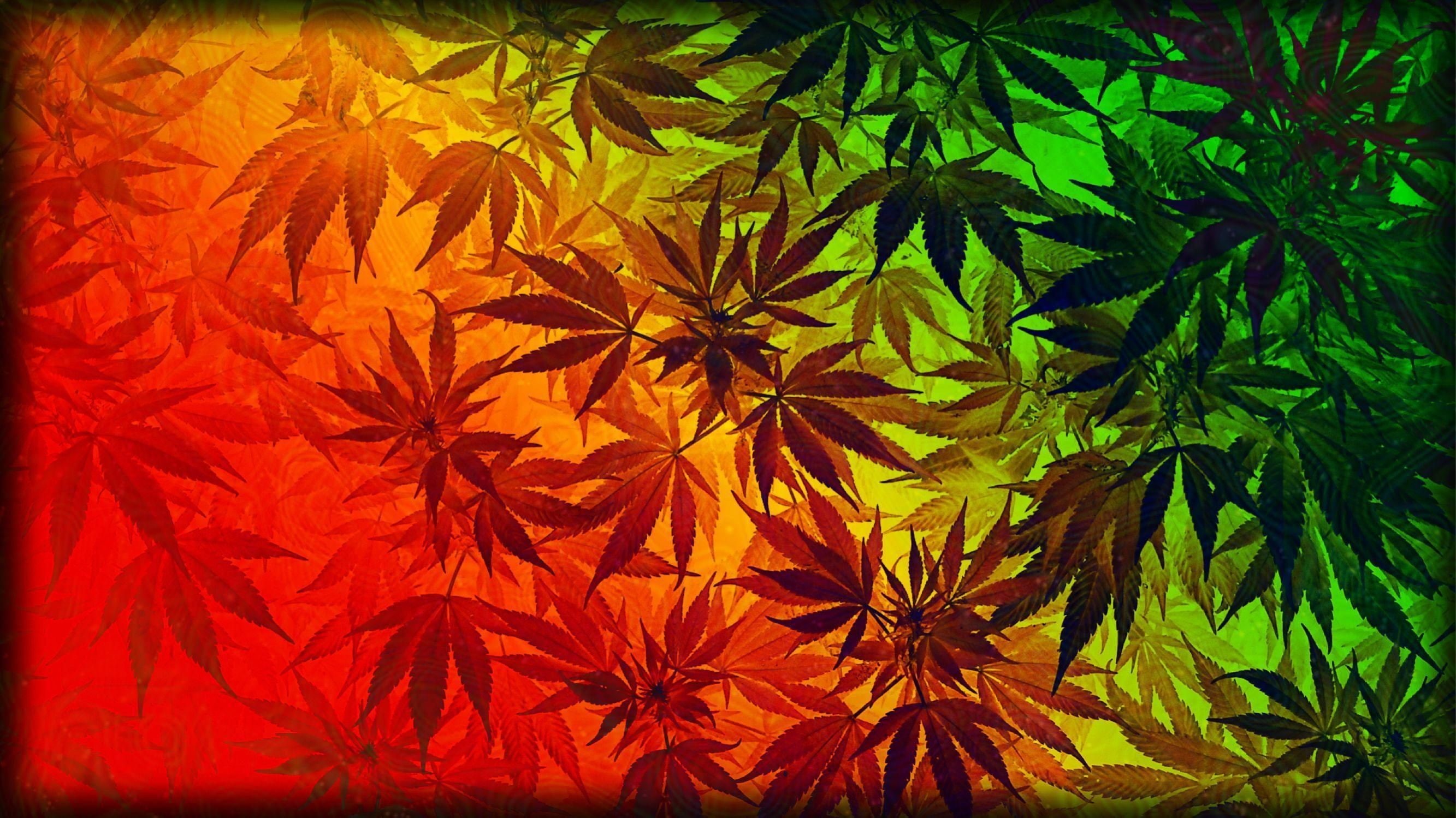 marijuana, weed, 2K, cannabis, 420, HD Wallpaper