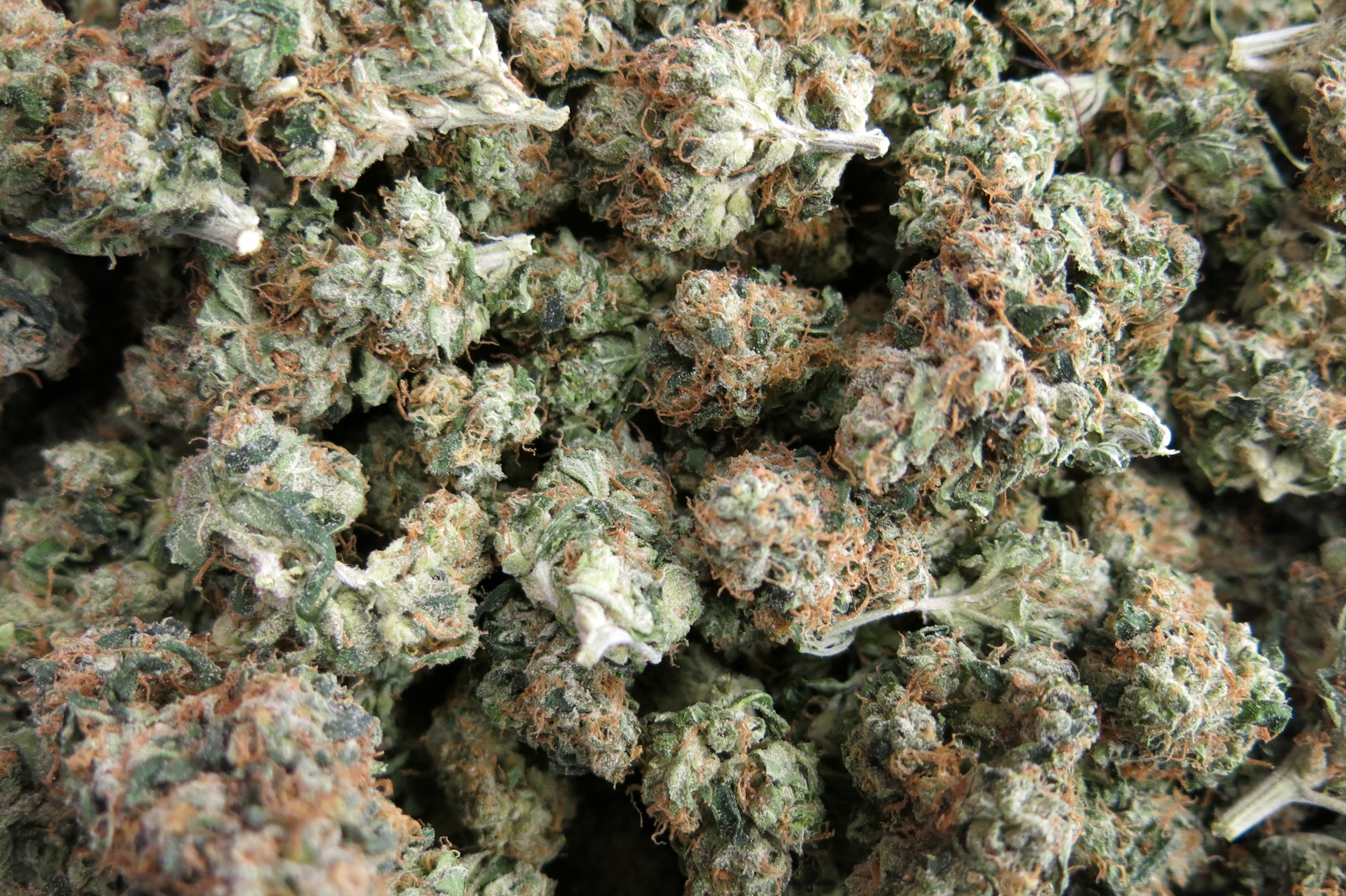 marijuana, weed, 4K, 420, cannabis, HD Wallpaper