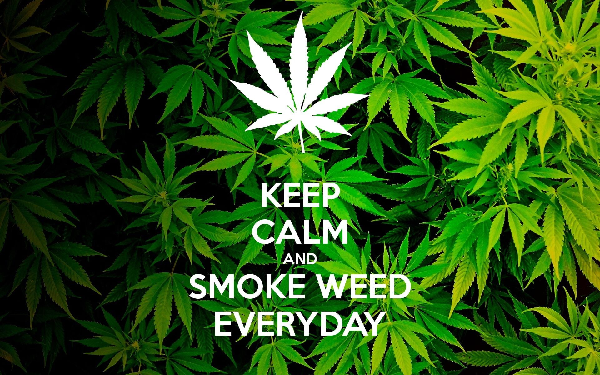 1080P, weed, 420, marijuana, cannabis, HD Wallpaper