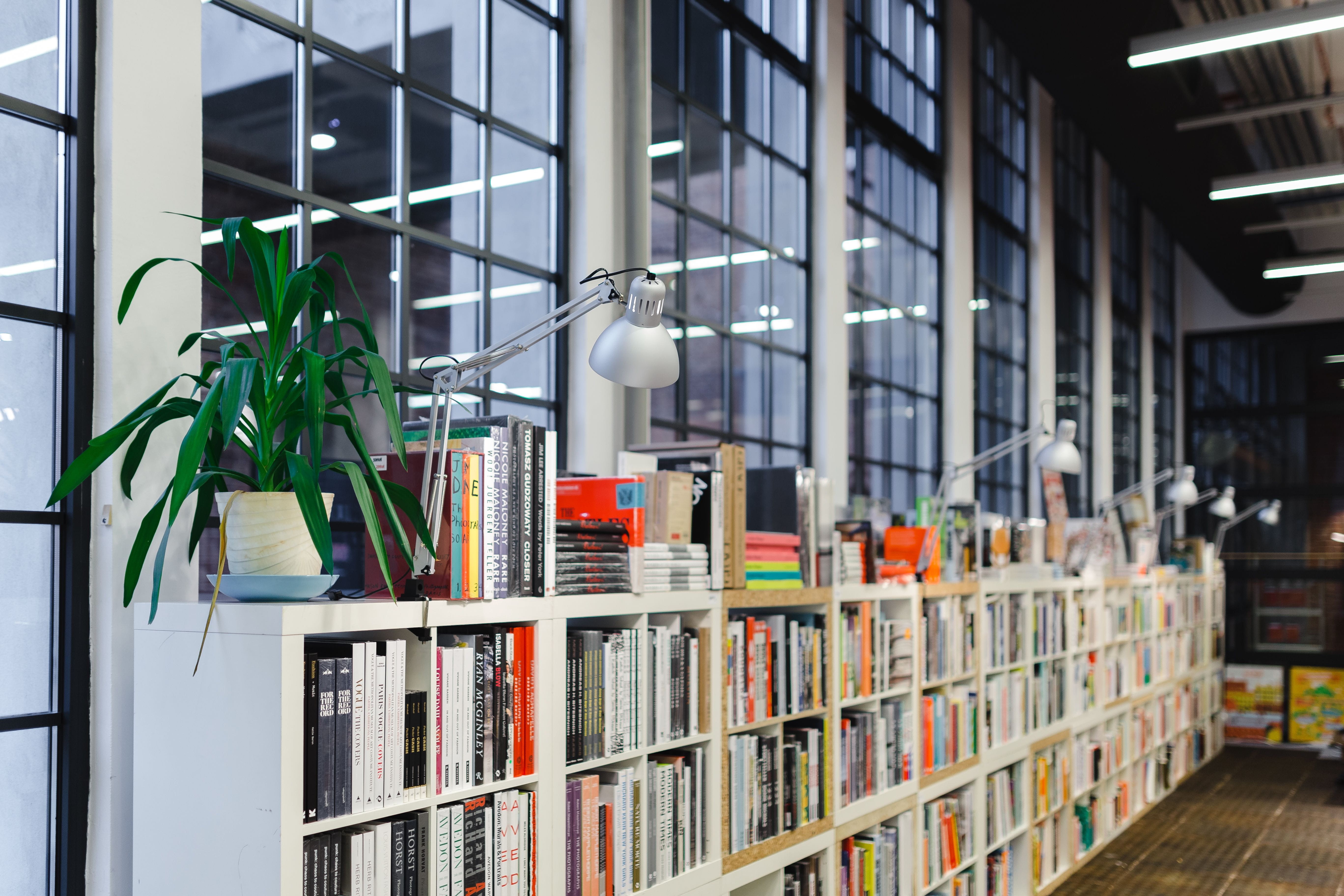 knowledge, education, glass - material, place of work, visit, architecture, focus on foreground, potted plant, no People, bookstore, factory, built Structure, HD Wallpaper