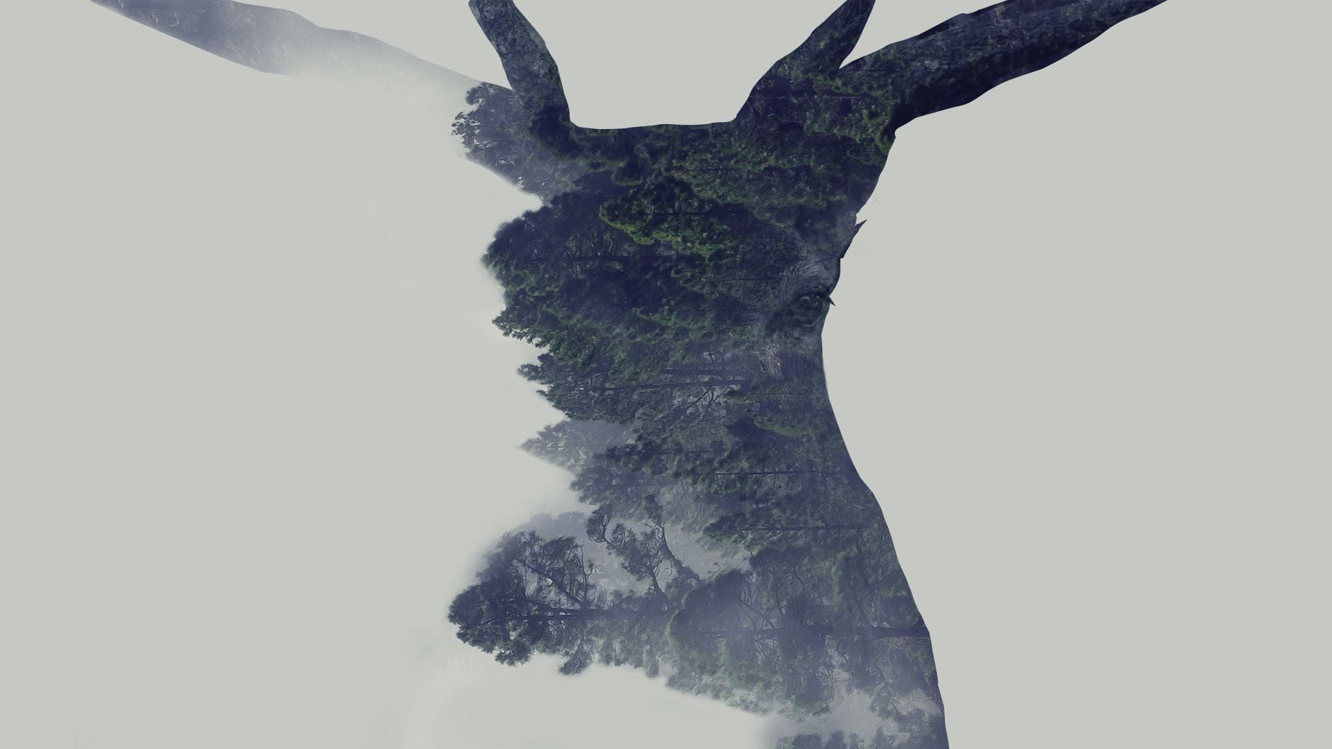 tree, white background, outdoors, nature, studio shot, day, no people, digital composite, tranquility, Photoshop, copy space, 1080P, multiple exposure, HD Wallpaper