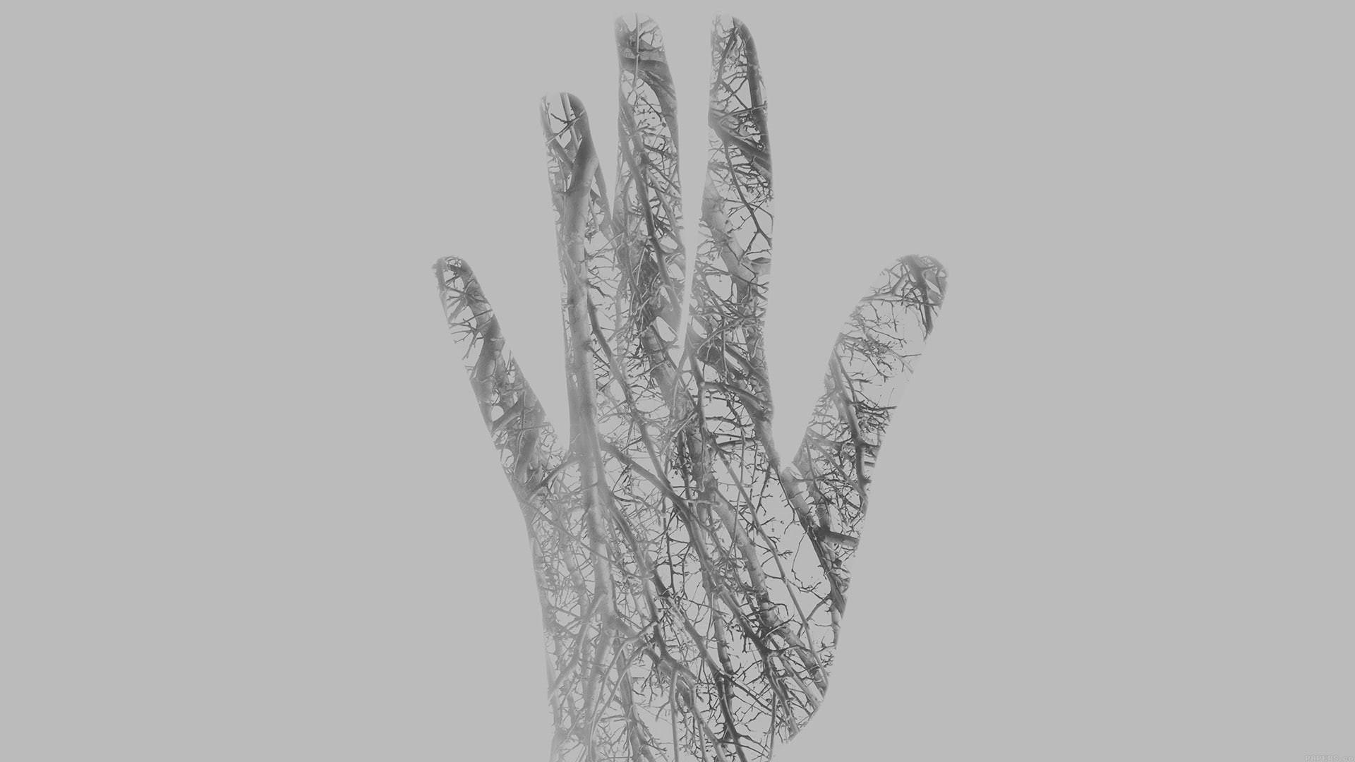 double exposure, fingers, branch, monochrome, simple background, digital art, hands, trees, 1080P, HD Wallpaper