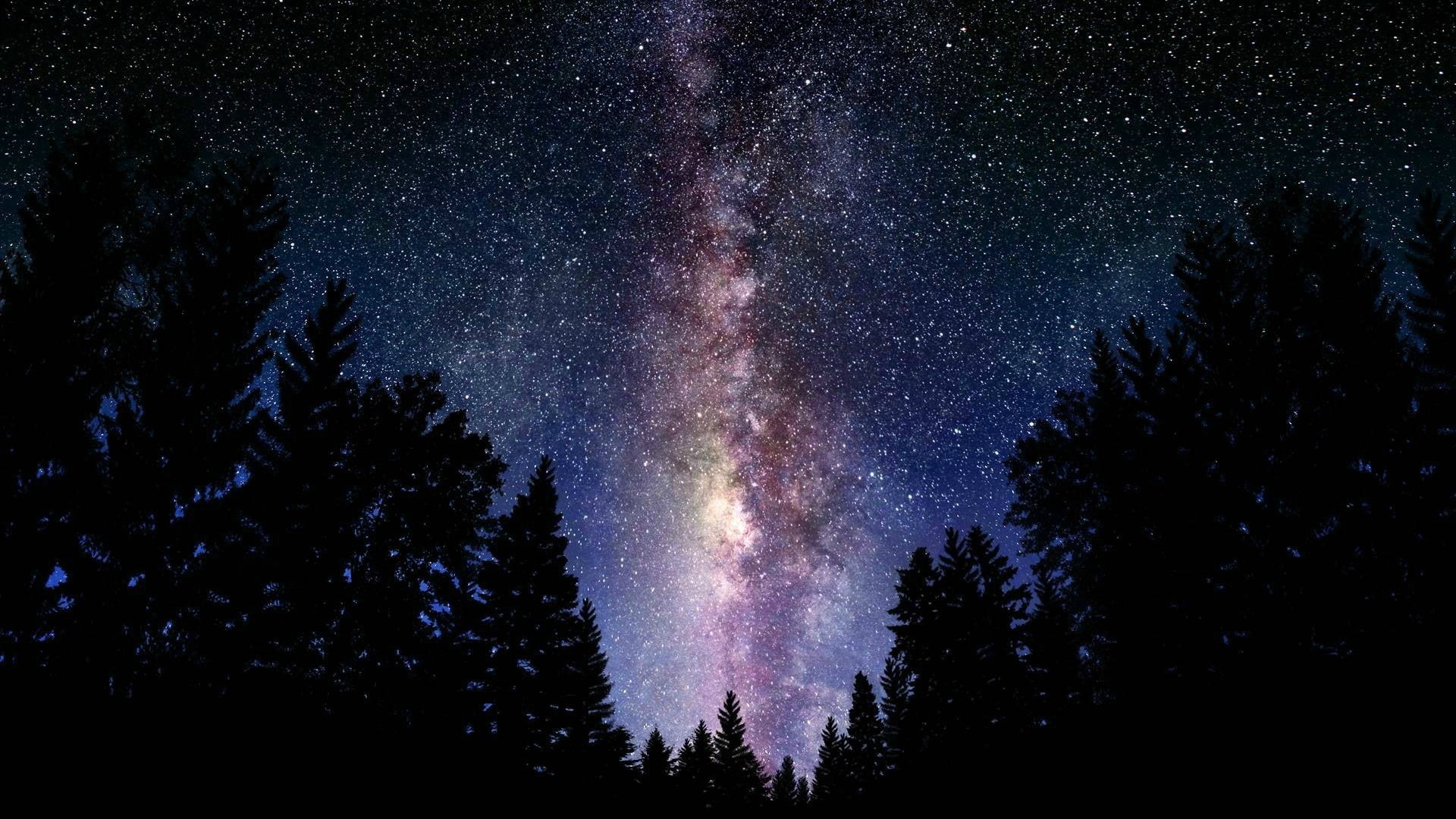 forest, digital, silhouette, forest clearing, art, stars, trees, space, clearing, 1080P, digital art, HD Wallpaper
