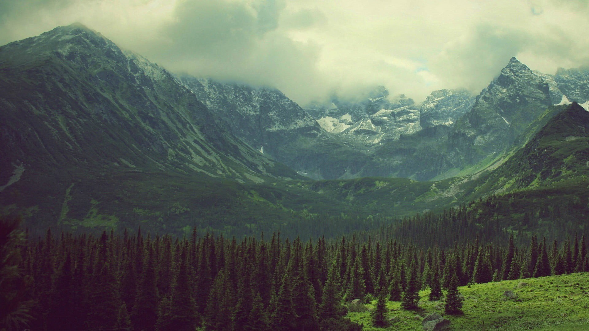 cold temperature, snowcapped mountain, coniferous tree, pine tree, tranquil scene, mountain, land, beauty in nature, tranquility, no people, landscape, HD Wallpaper