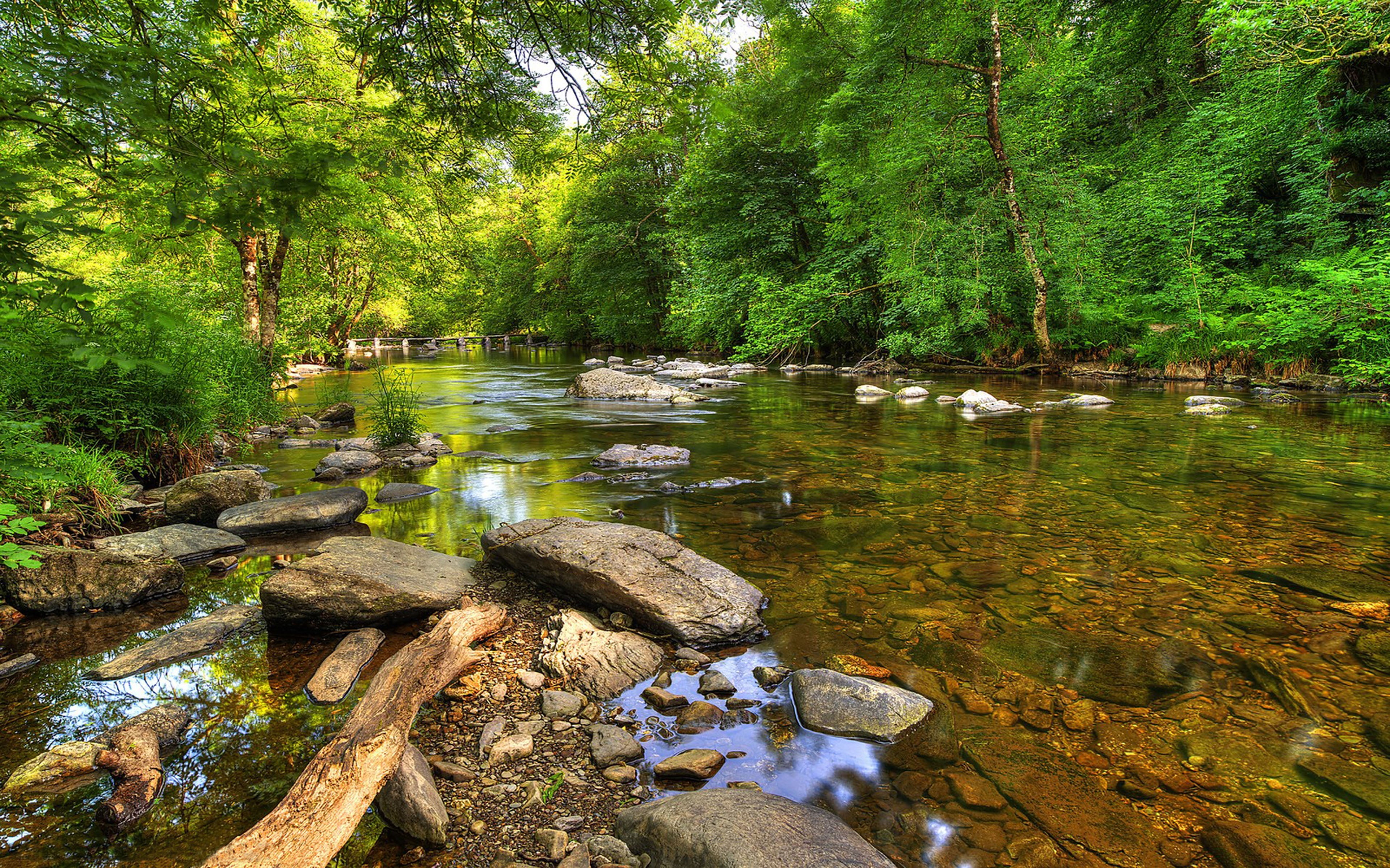 flowing, trees, england, green, green color, reflection, forest, lake, hd, flowing water, day, solid, gravel, national, water, no people, plant, river, HD Wallpaper