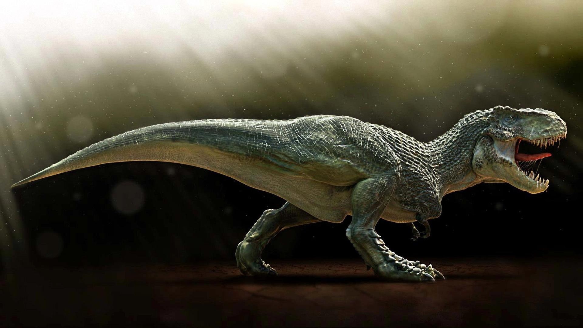1080P, Paleontology, Carnivorous, Dinosaur, HD Wallpaper