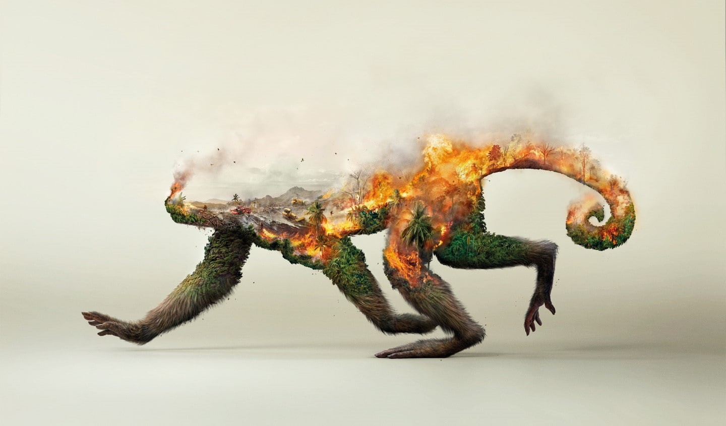 artwork, forest, monkey, ecology, palm trees, smoke, digital art, environment, trees, double exposure, destruction, animals, nature, 720P, fire, HD Wallpaper