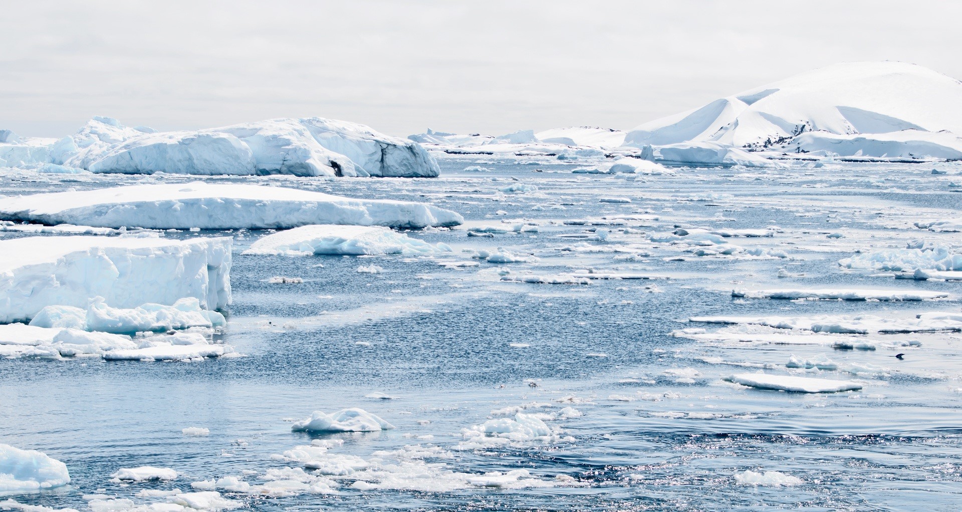 nature, wilderness, cold - Temperature, arctic, south, north, glacier, cold, iceberg - ice formation, cold temperature, southern hemisphere, frozen, beauty in nature, HD Wallpaper